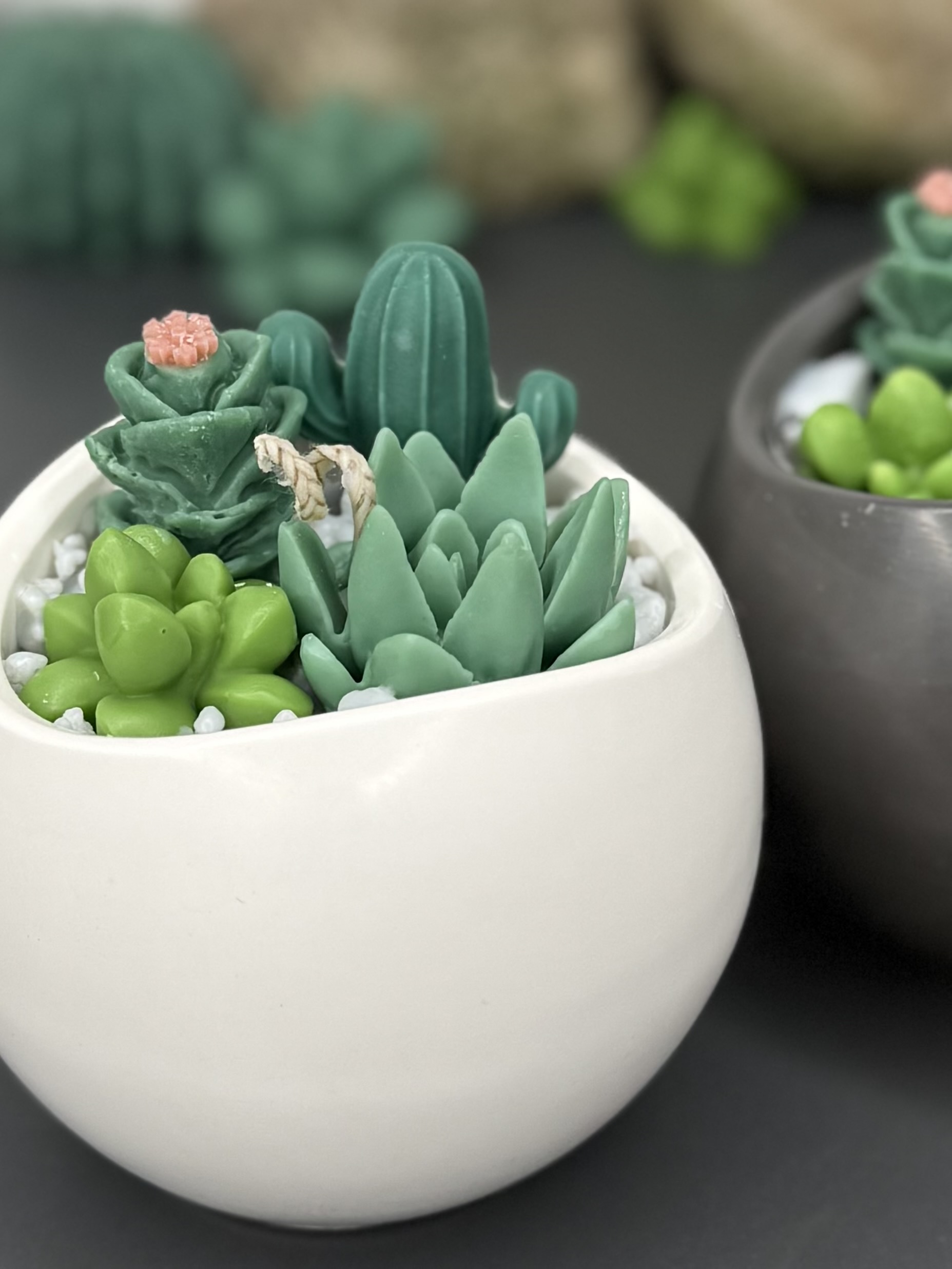 "Botanic Stone" für Kakteen-Liebhaber