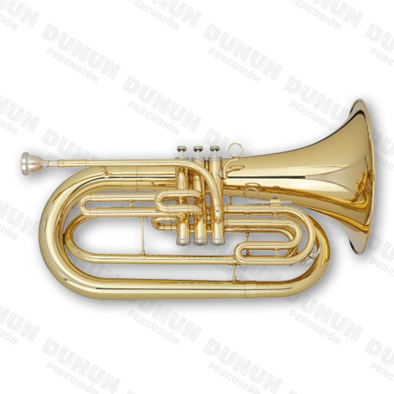 BARITONO AYSON AYBT-E170 MARCHA 