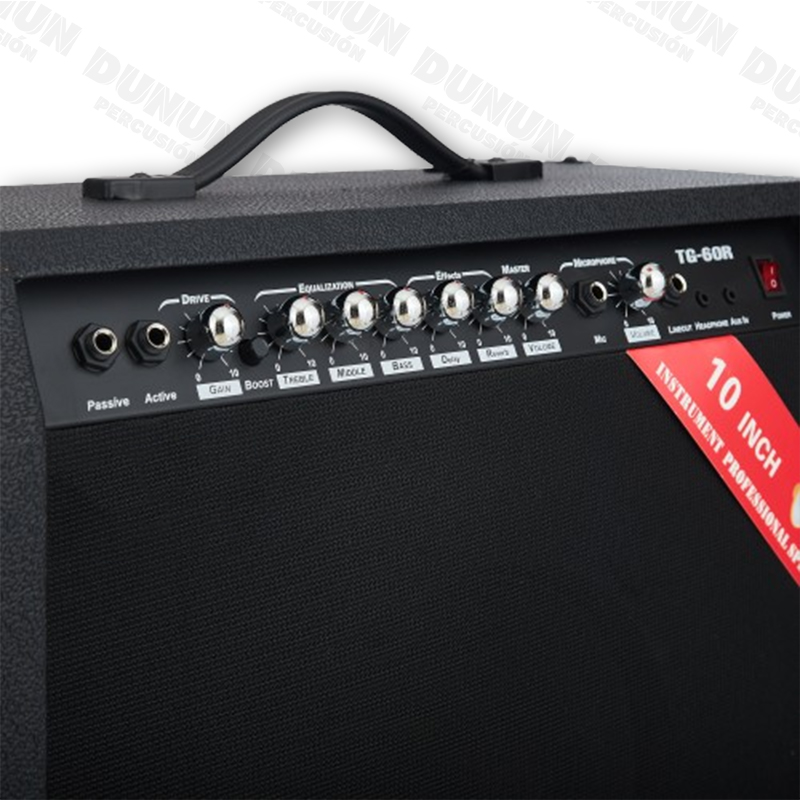 AMPLIFICADOR AYSON DE GUITARRA 40 W TG-40