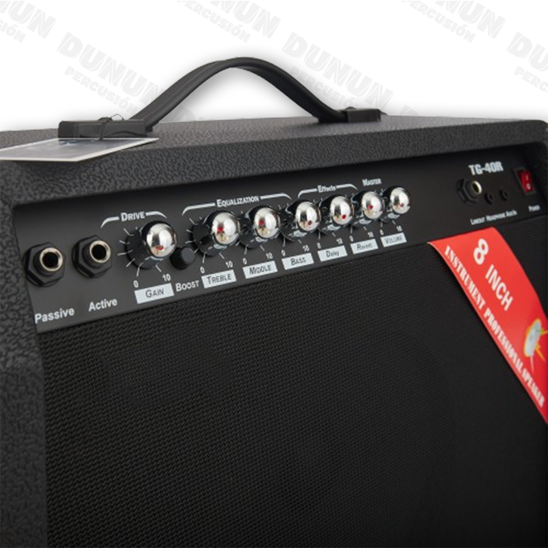 AMPLIFICADOR AYSON DE GUITARRA 40 W TG-40