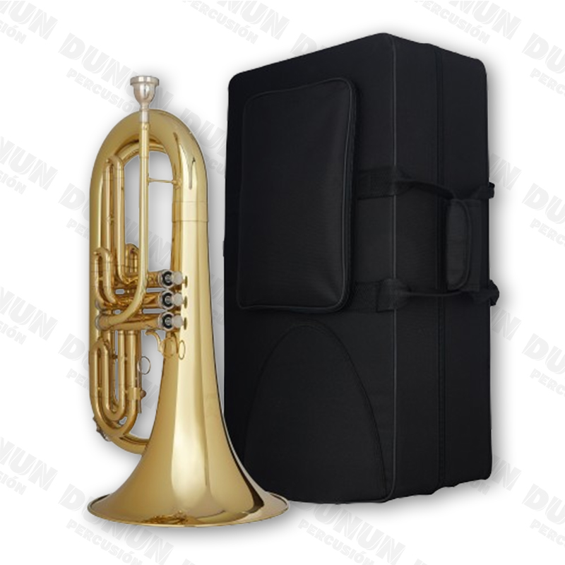 BARITONO AYSON AYBT-E170 MARCHA