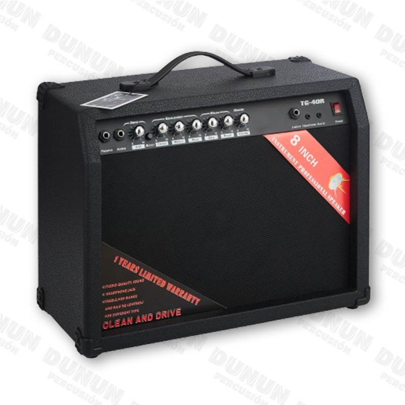 AMPLIFICADOR AYSON DE GUITARRA 40 W TG-40