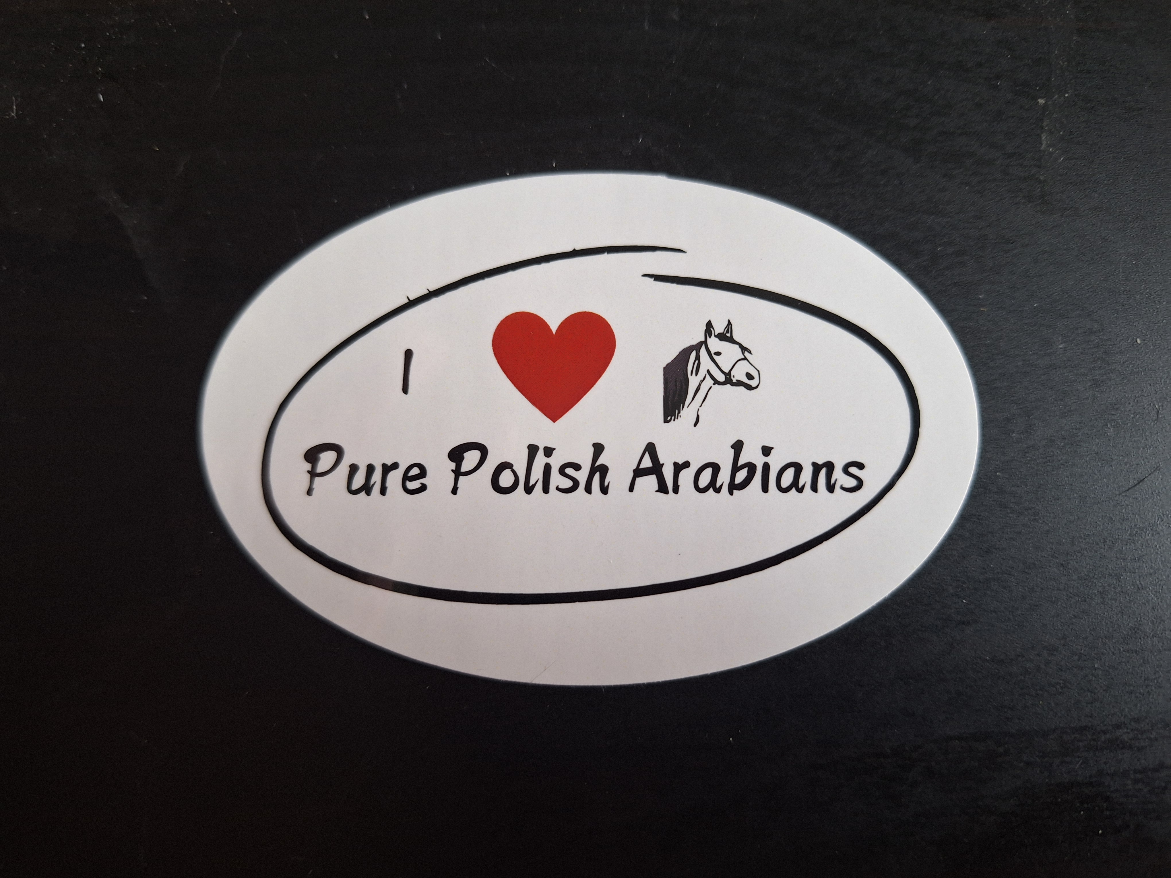 I heart Polish Arabians horse sticker