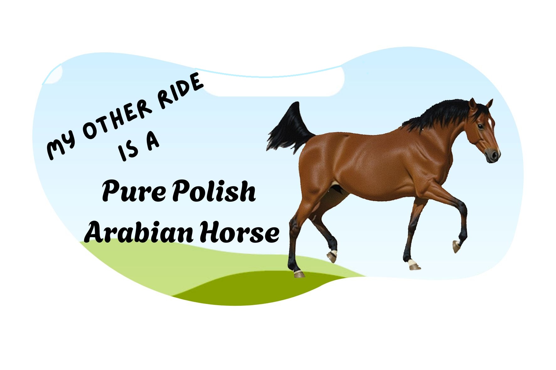 My other ride is a Pure Polish Arabian Horse sticker