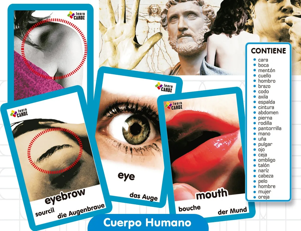 Flash Cards Inglés Francés Alemán