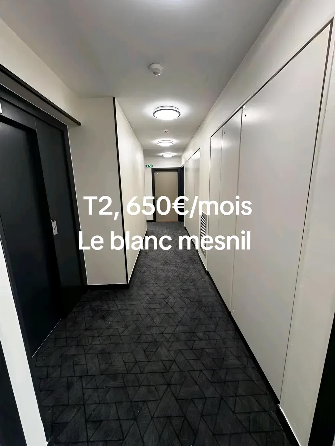 Appartement T2 à Le Blanc-Mesnil