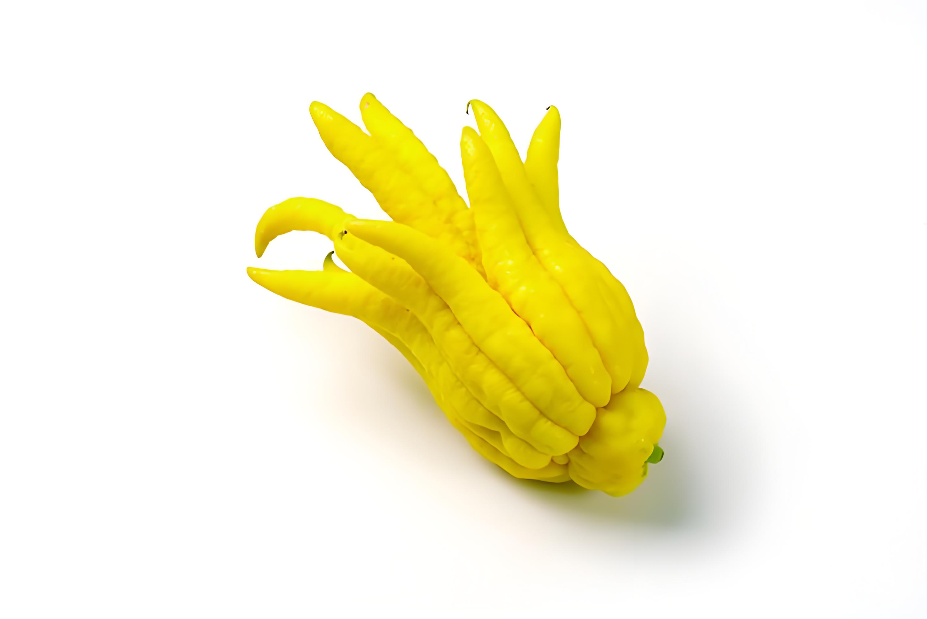 佛手桔