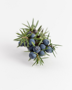 Juniper Berry 杜松