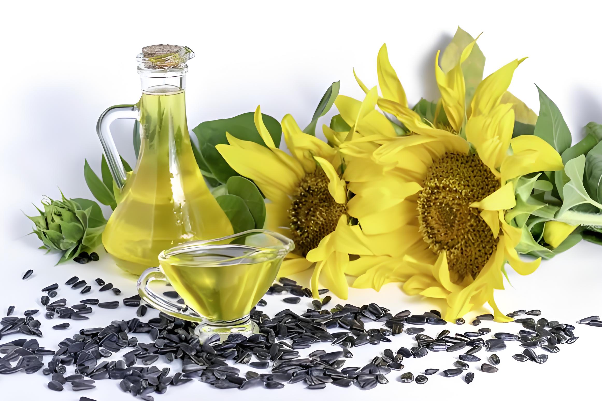 Sunflower oil葵花籽油
