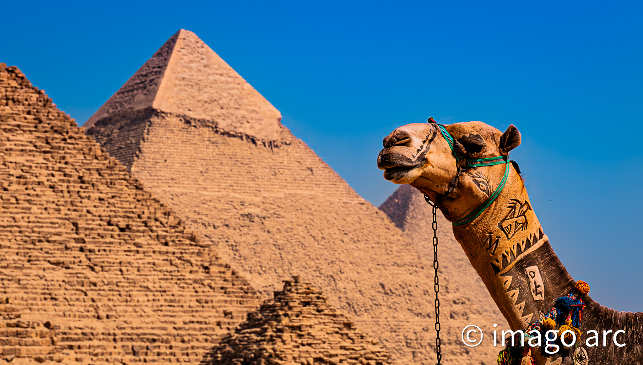 Camel Code