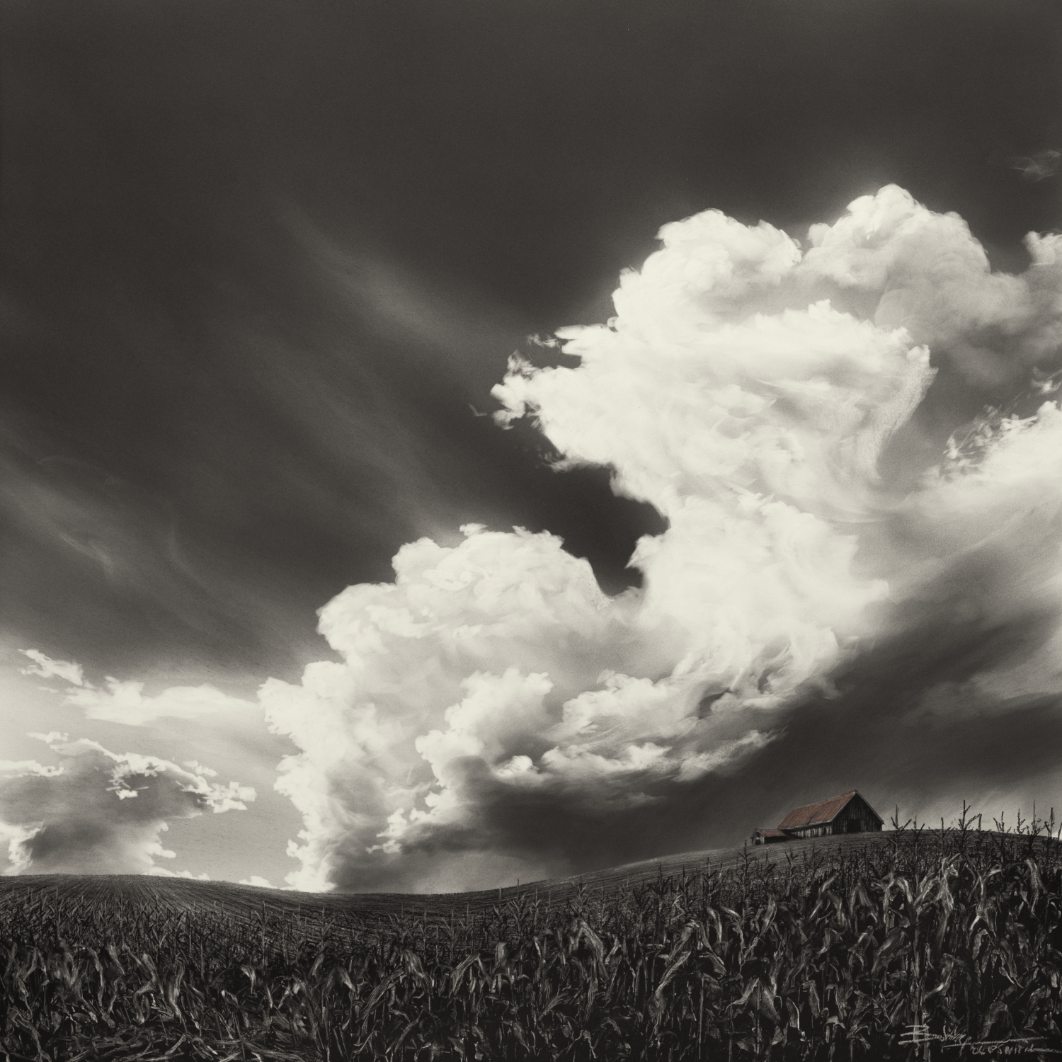 LIMITED EDITION PRINT CORNFIELD CHASE  17X18