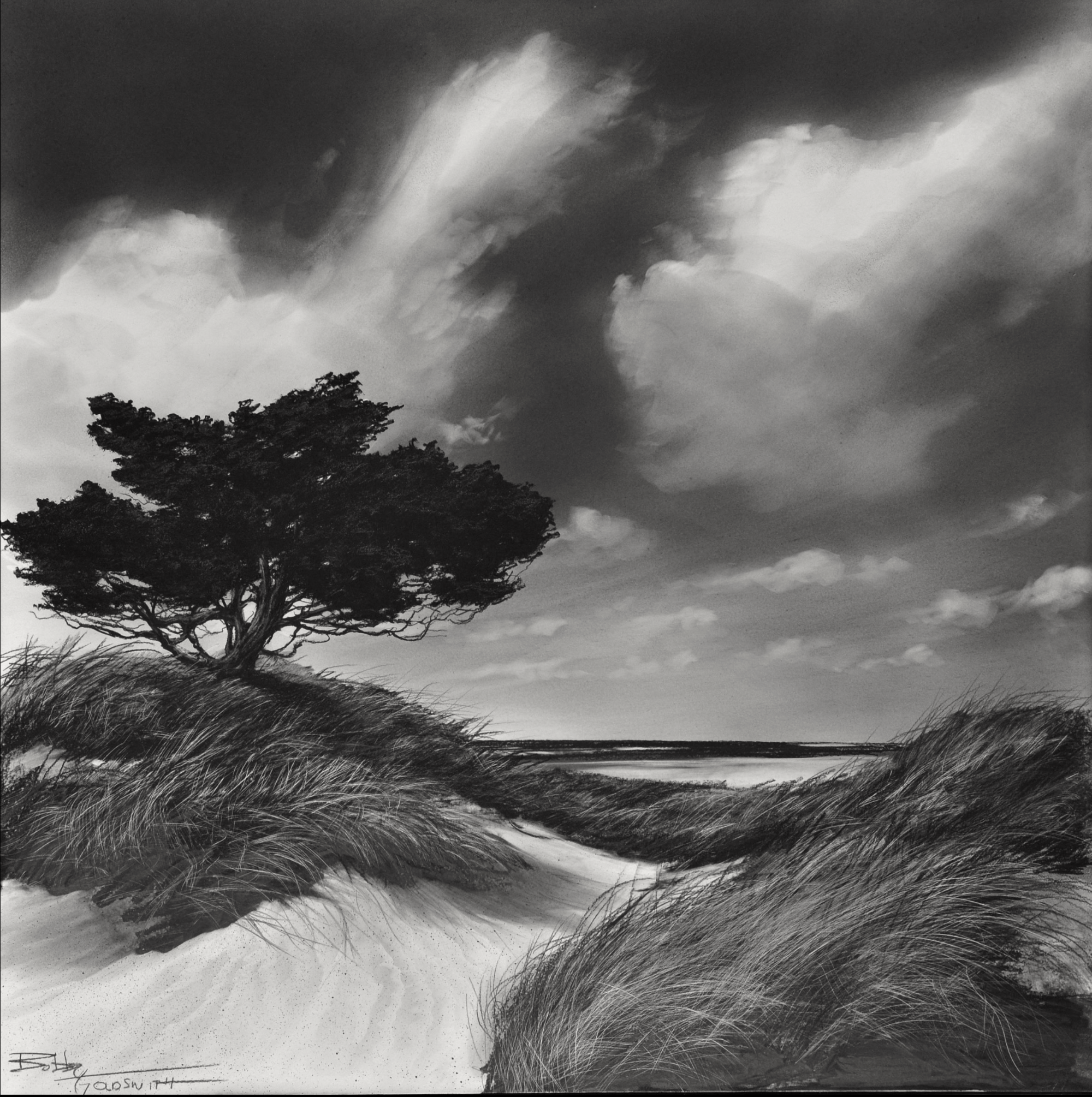 LIMITED EDTION PRINT TREE BY THE SEA13X14