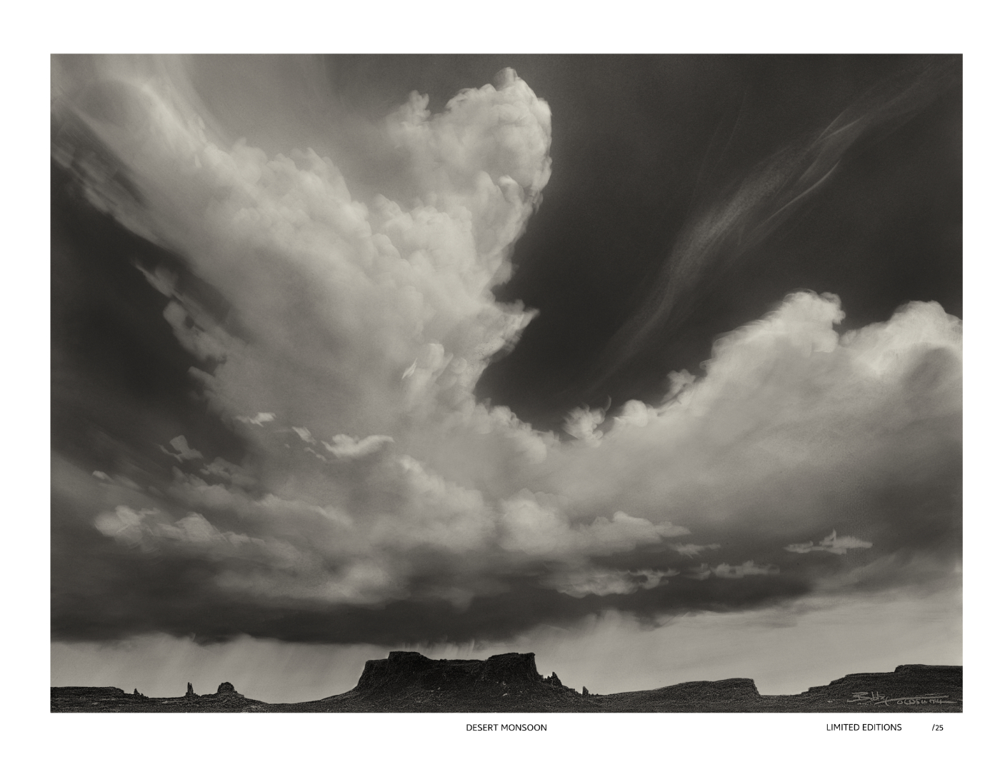 LIMITED EDITION DESERT MONSOON PRINT 17X22