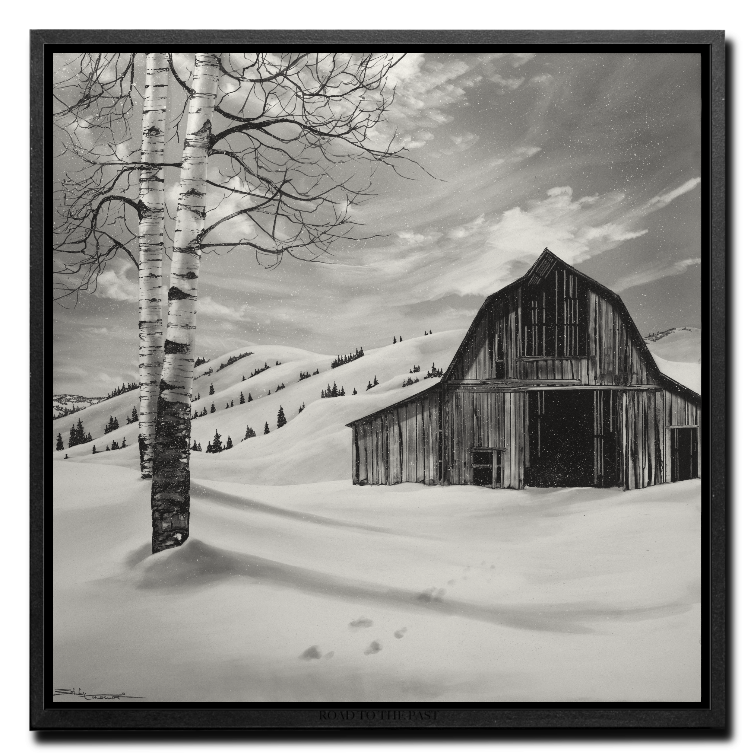 IDAHO WINTER 34 X34