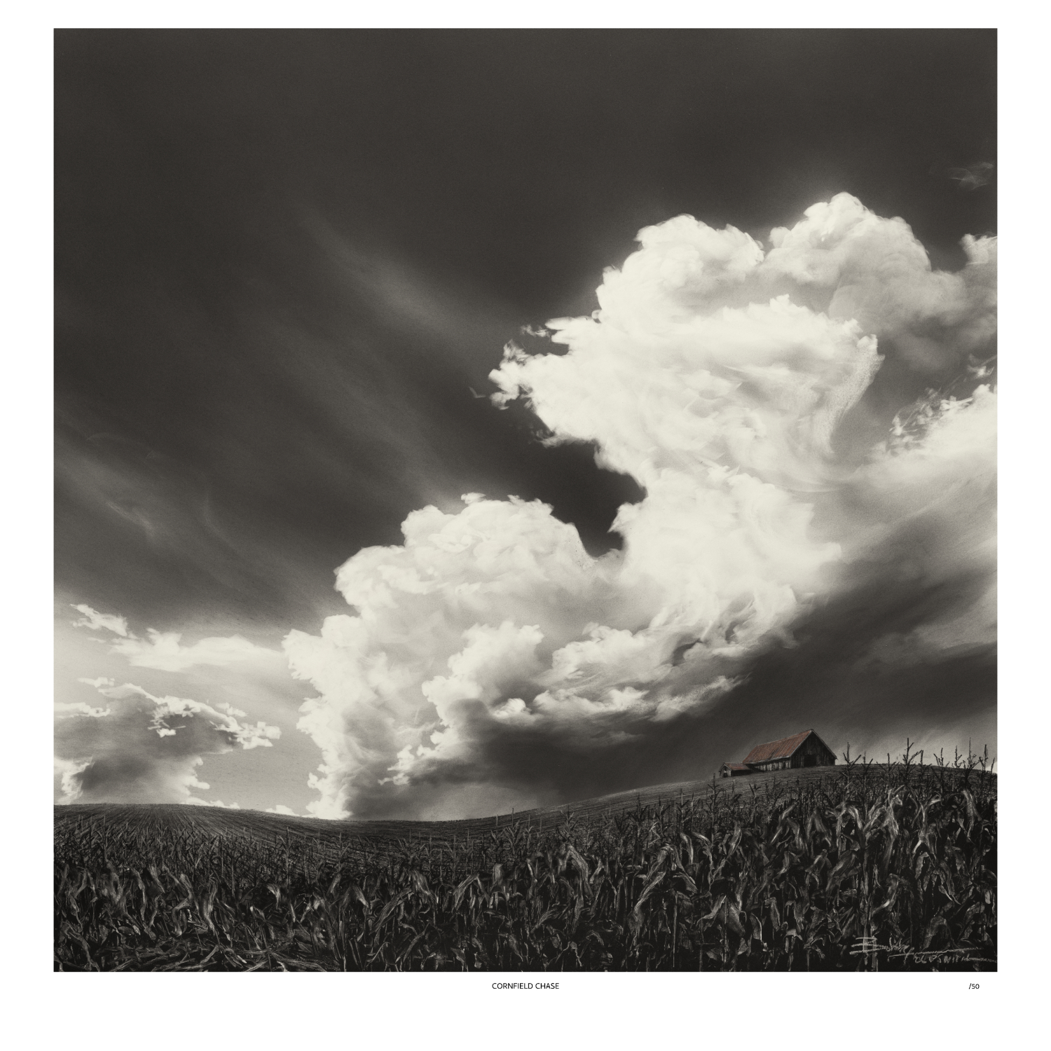 CORNFIELD CHASE 