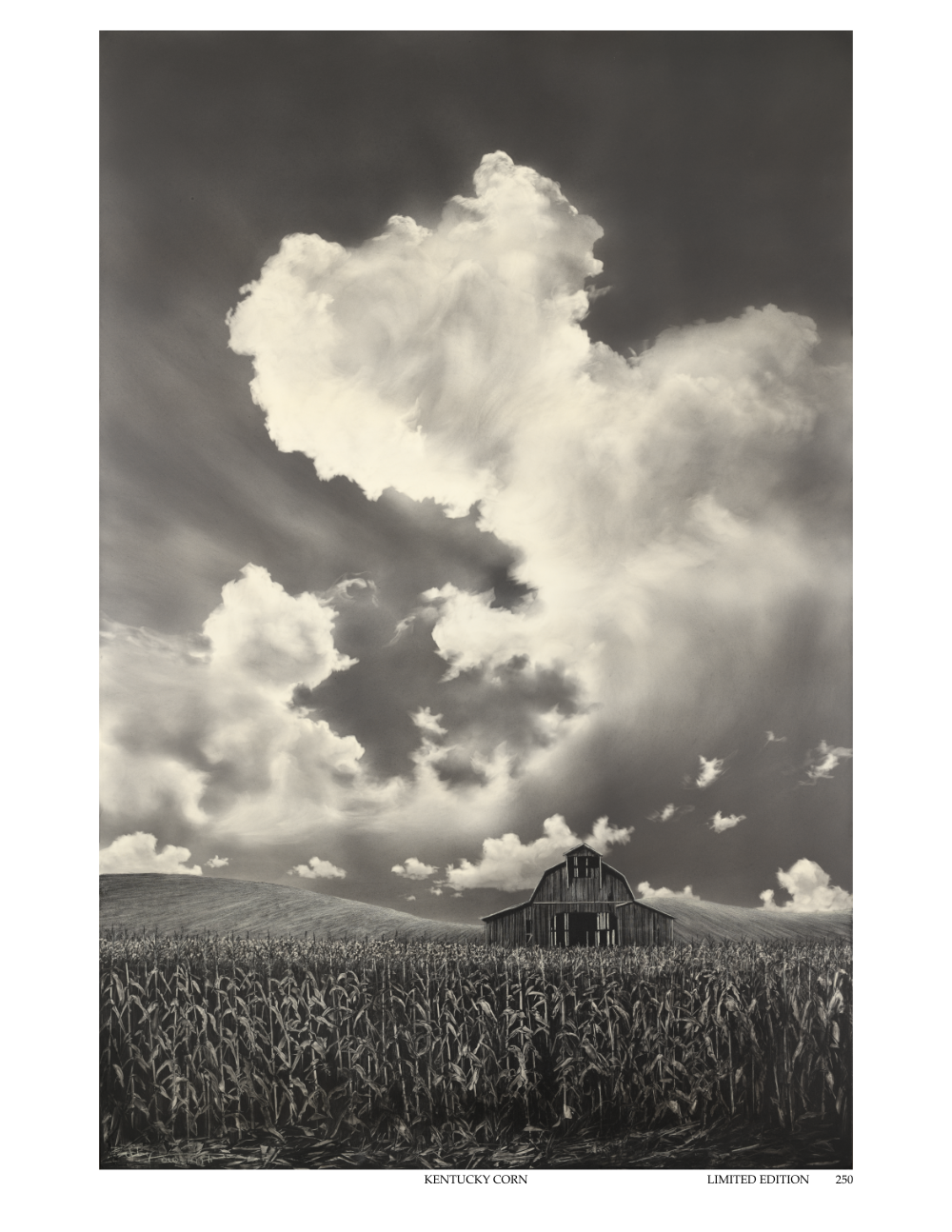 KENTUCKY CORN 
