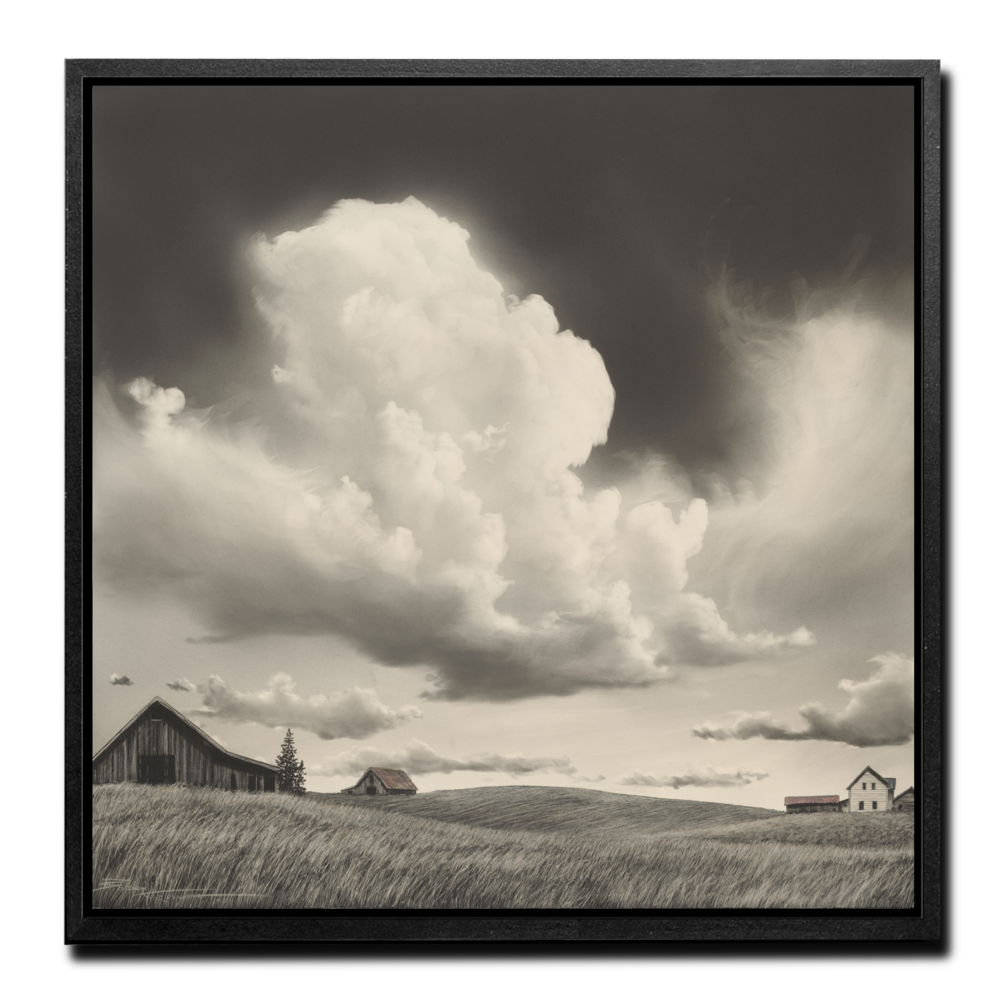 FARMLIFE 