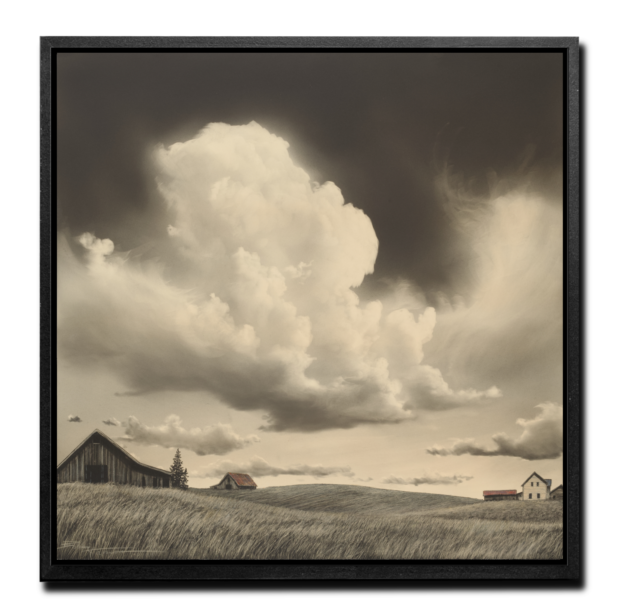 HOMESTEAD