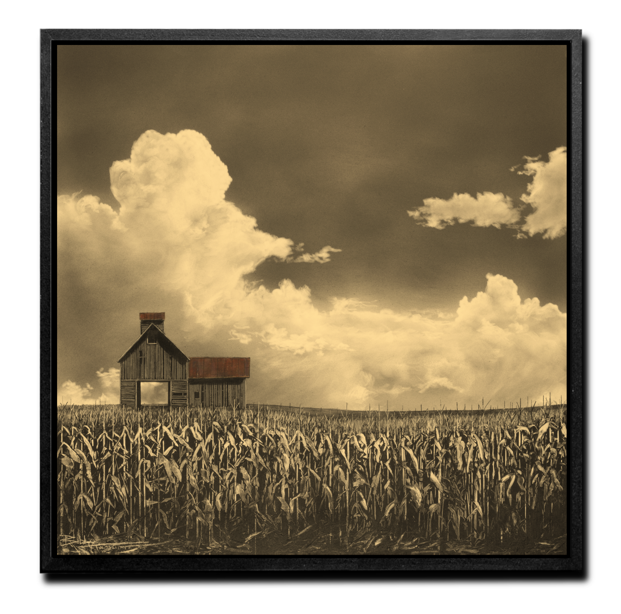 LIMITED EDITION PRINT 17X18