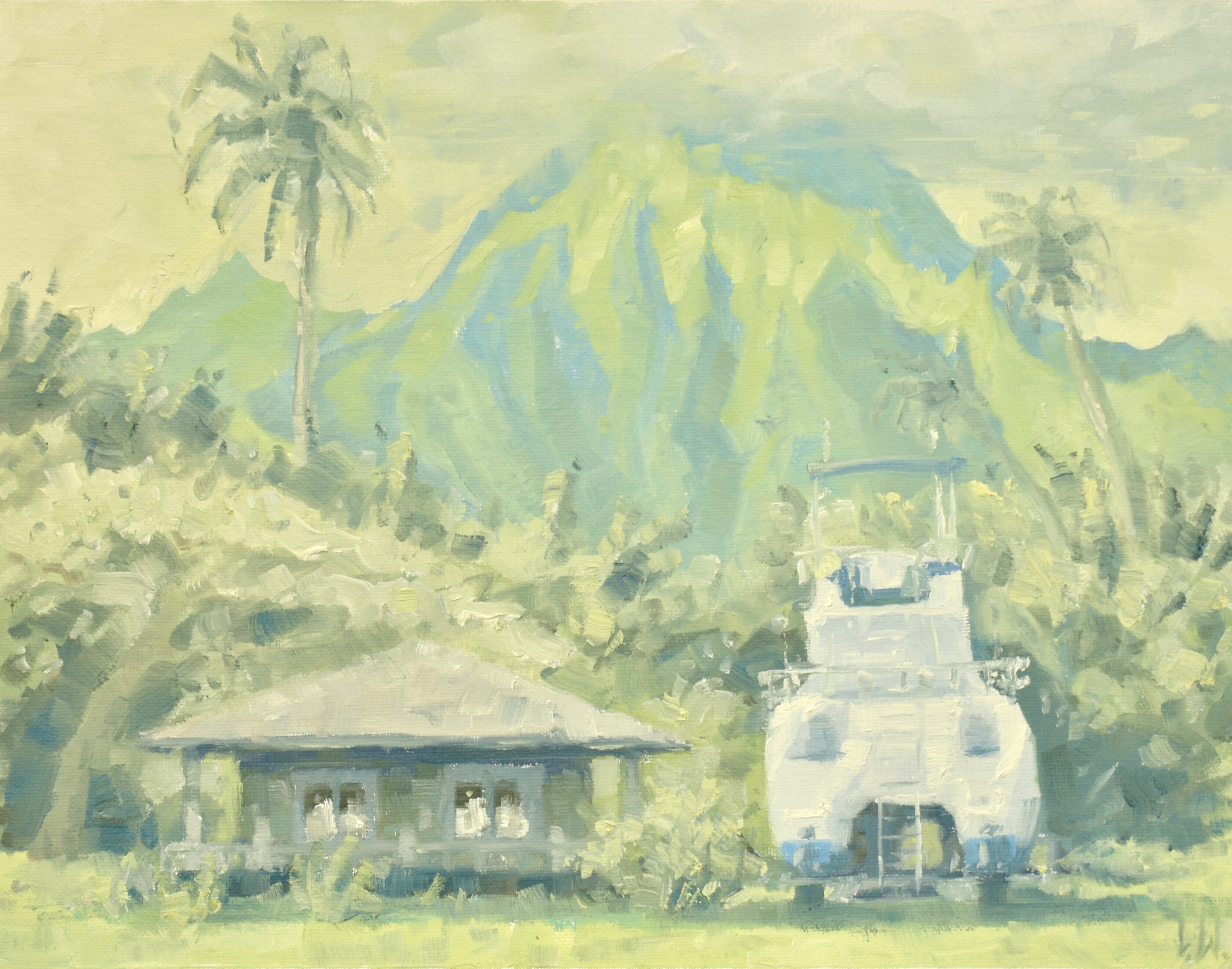 Kauai Green
