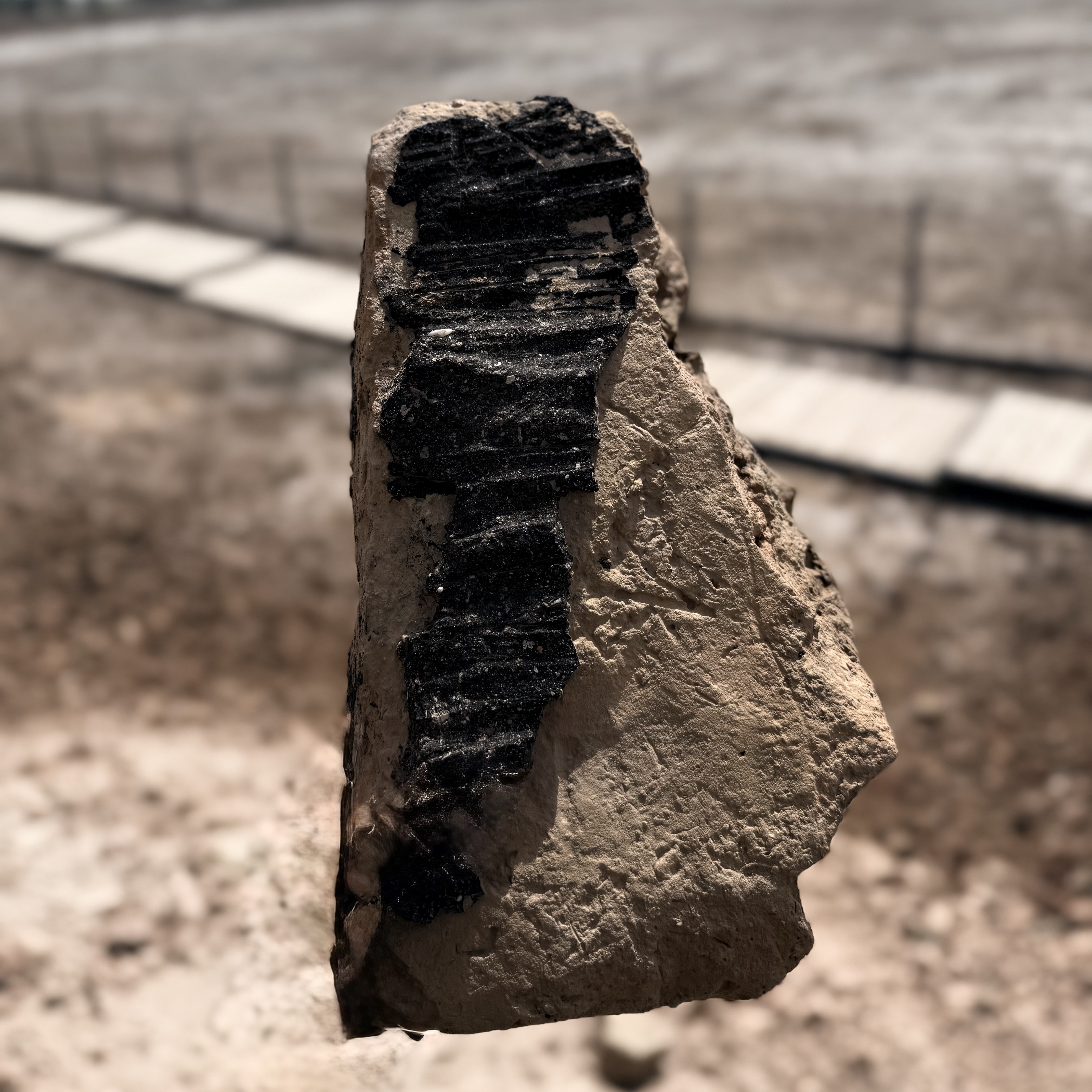 Myth & Martyrdom: A Journey from Babylon to Najaf & Kufa