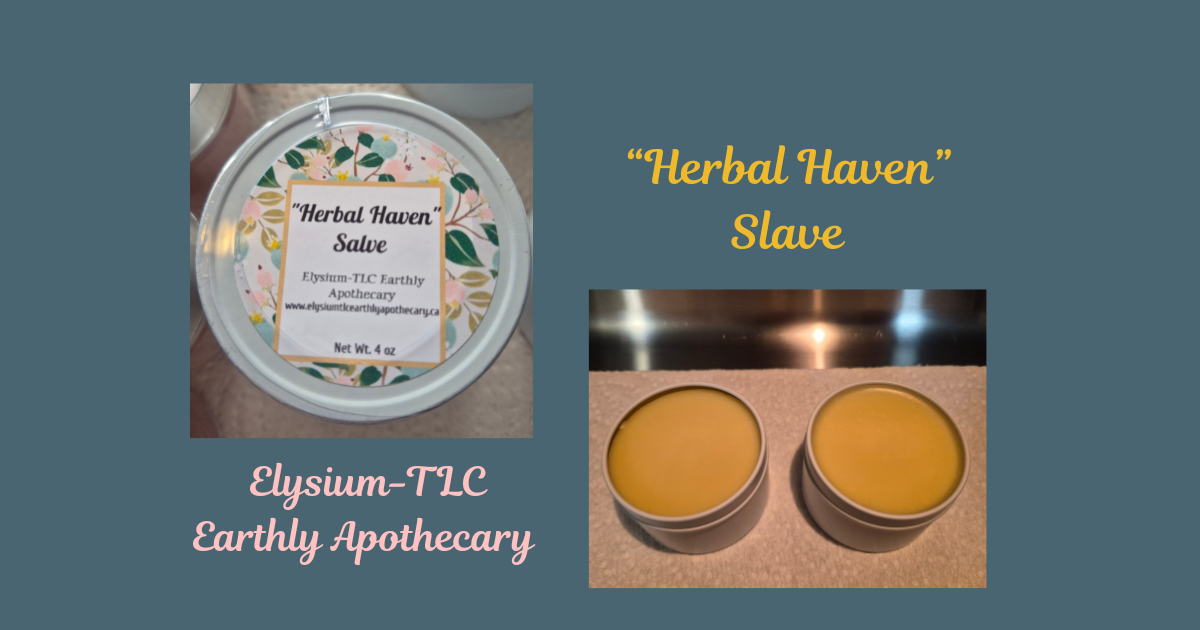 Herbal Haven Salve 4 oz.