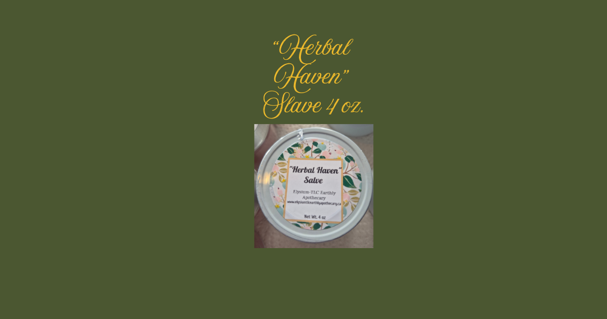 Herbal Haven Salve 4 oz.