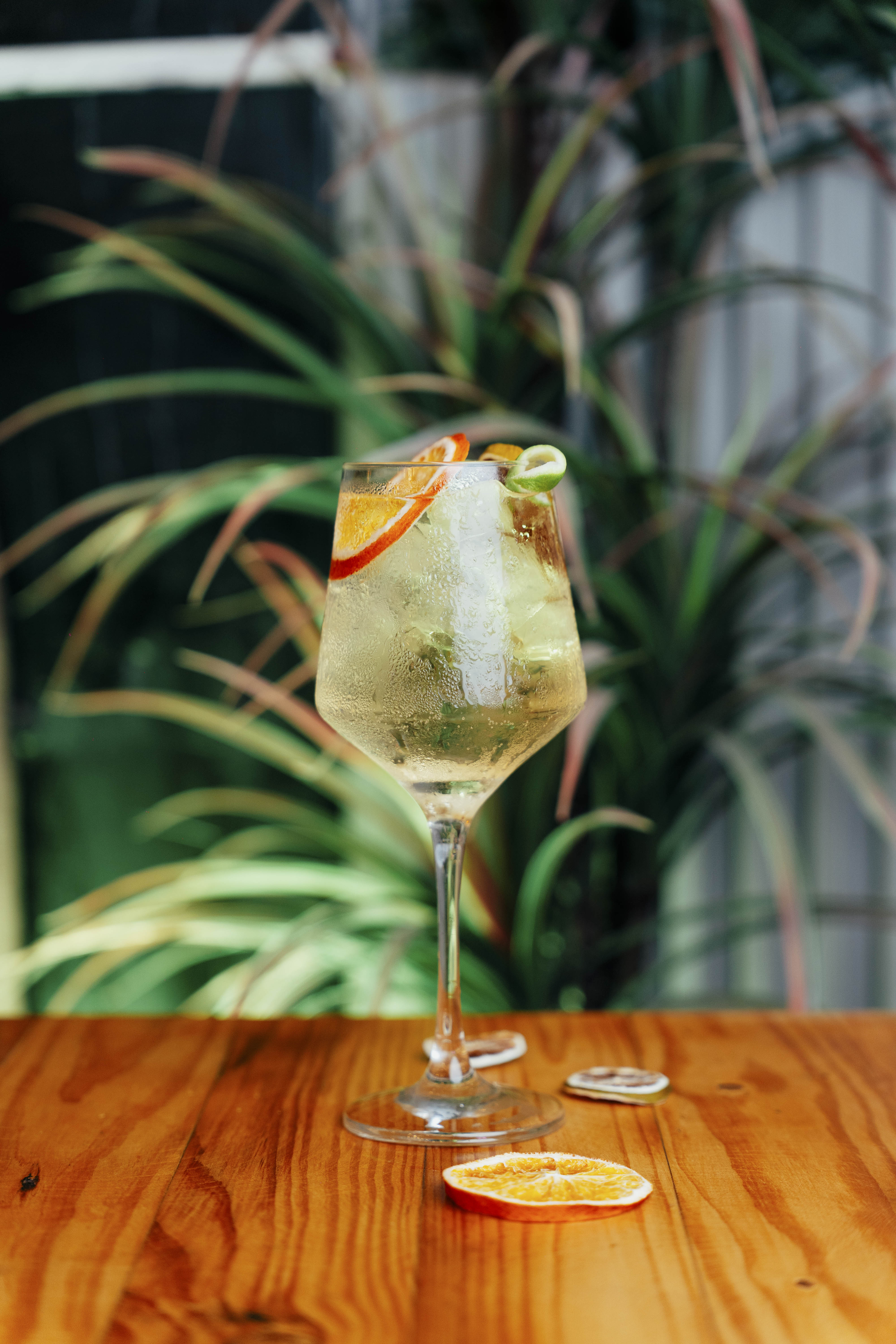 Gin con gin