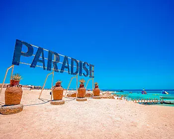 Paradise Island 