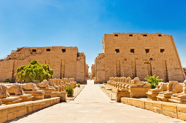 Private vip luxor tour 