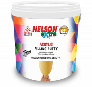 Nelson Extra Acrylic Filling Putty