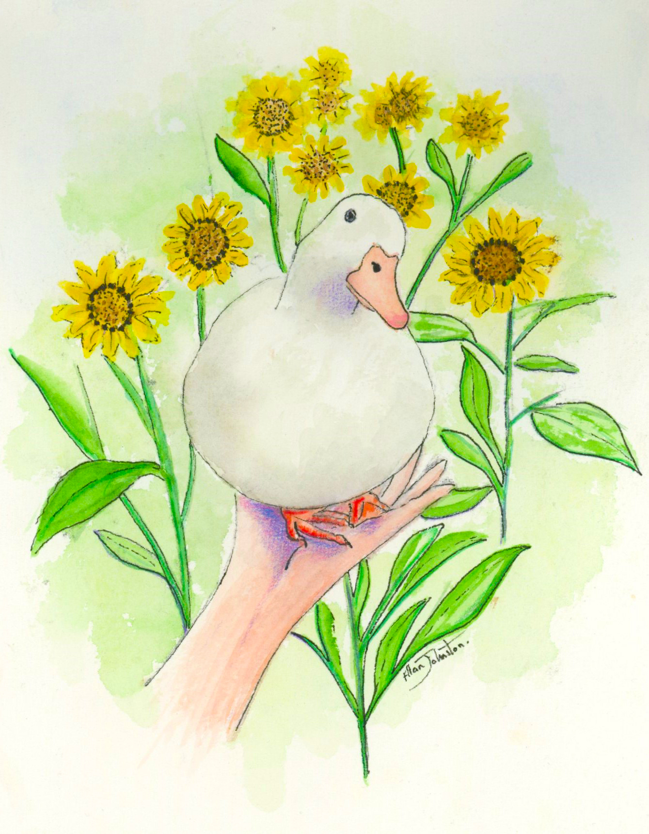 Greeting card