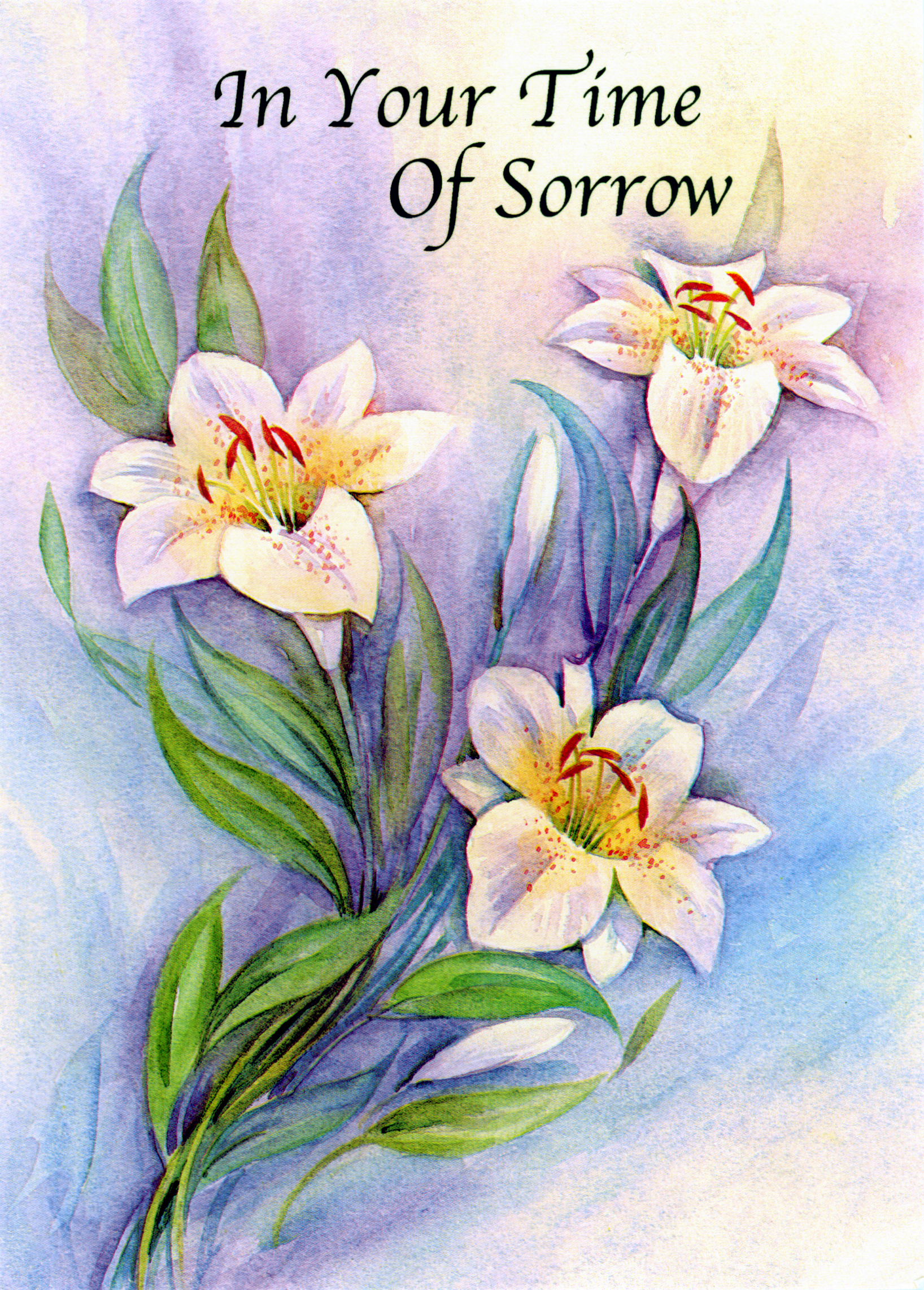 Sympathy Card