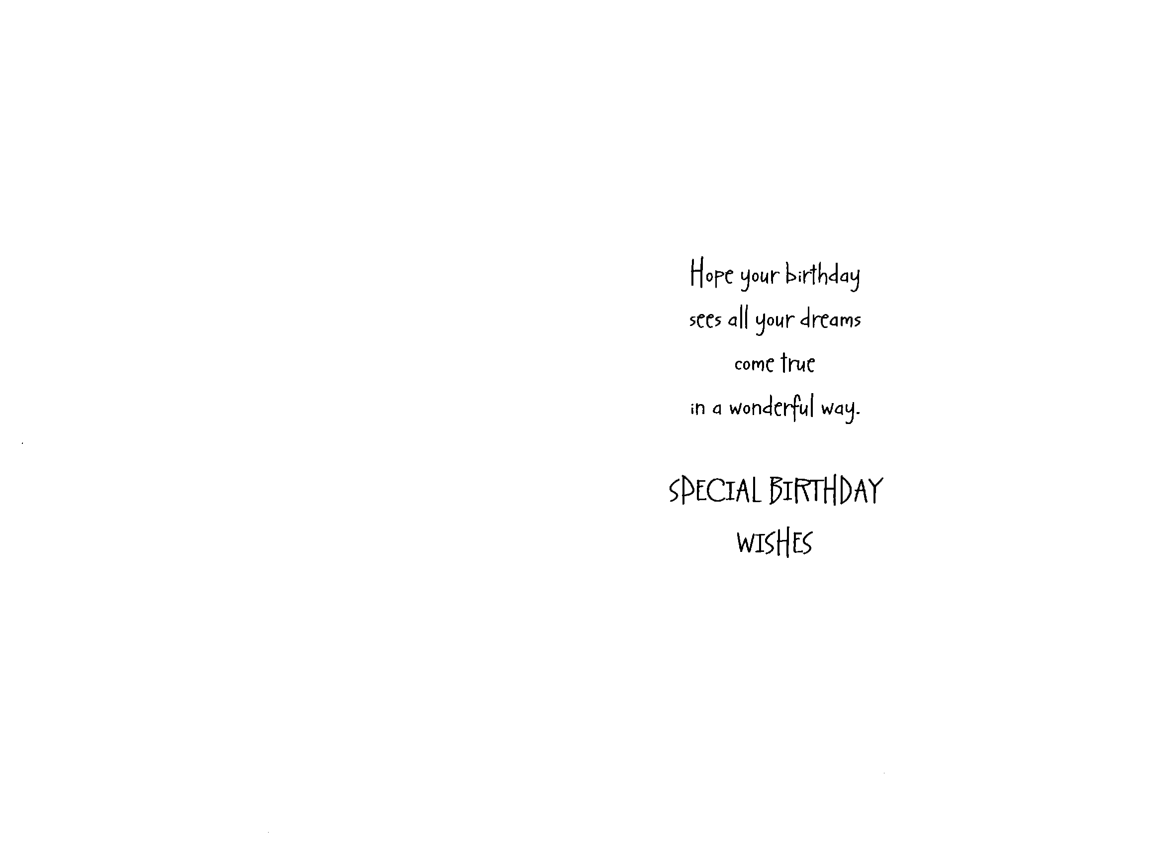 Birthday Greeting Card