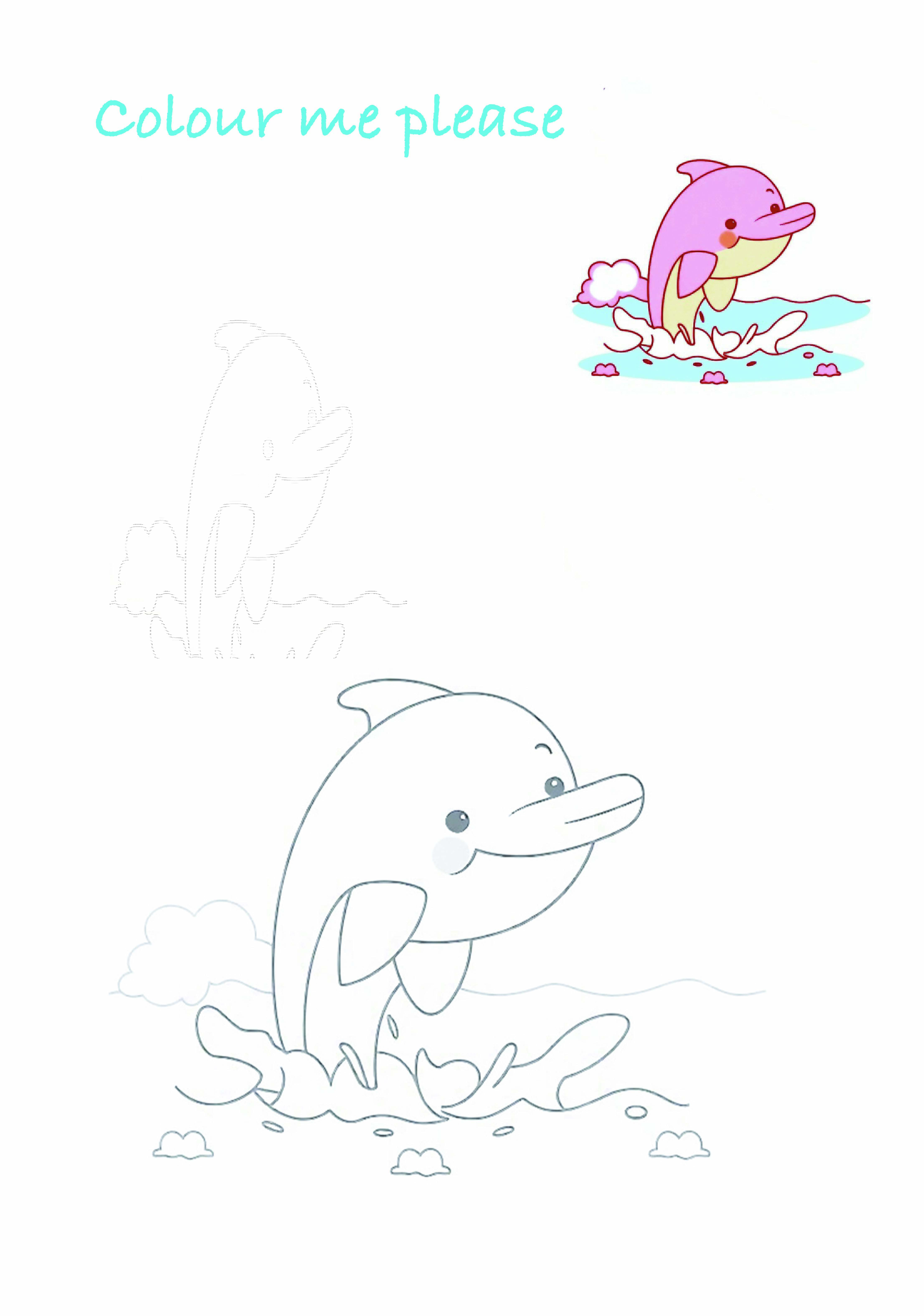 Personalised Happy Birthday Card with Dolphin with FREE  Activity A4 Sheet included.