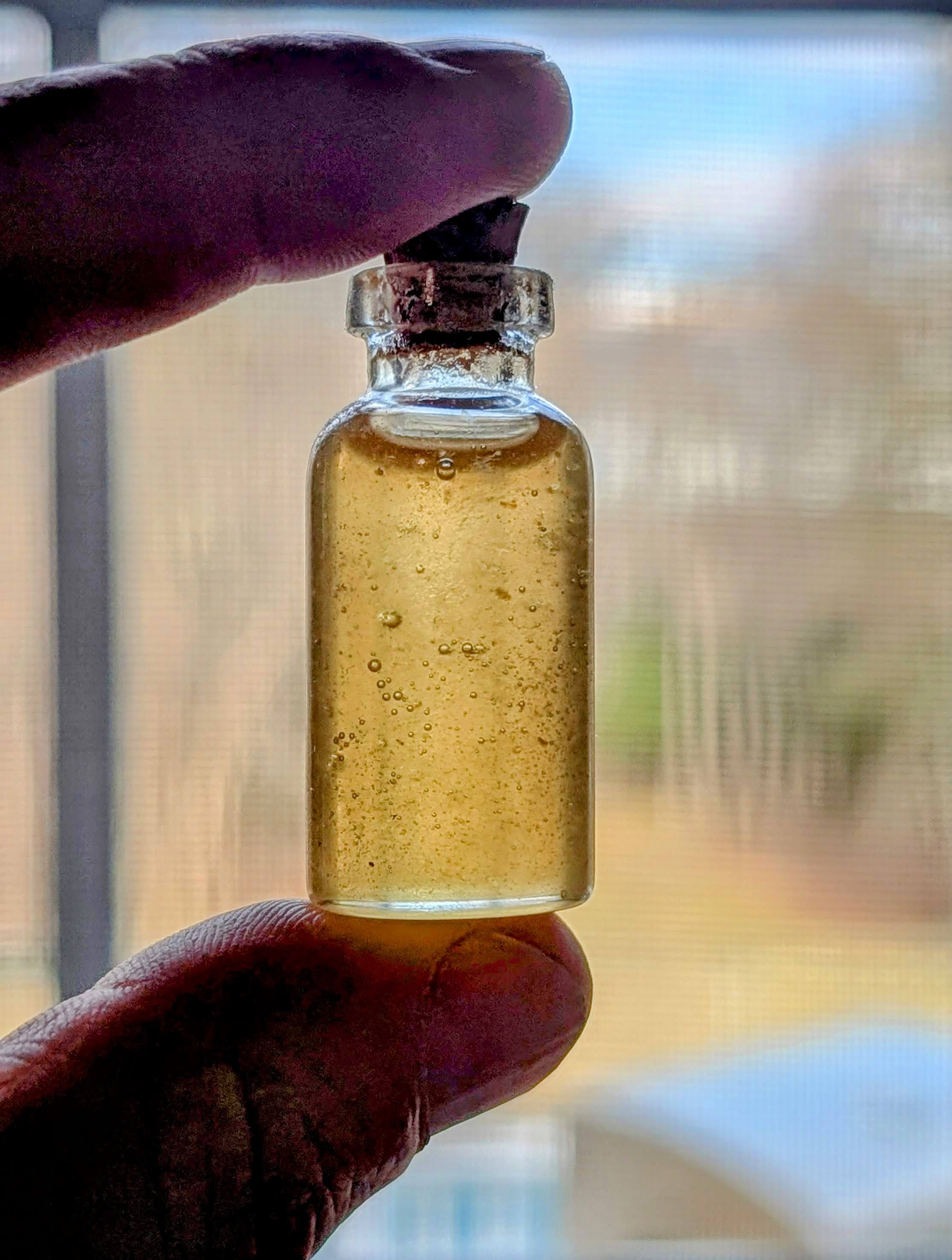 A Kiss of Pure Honey