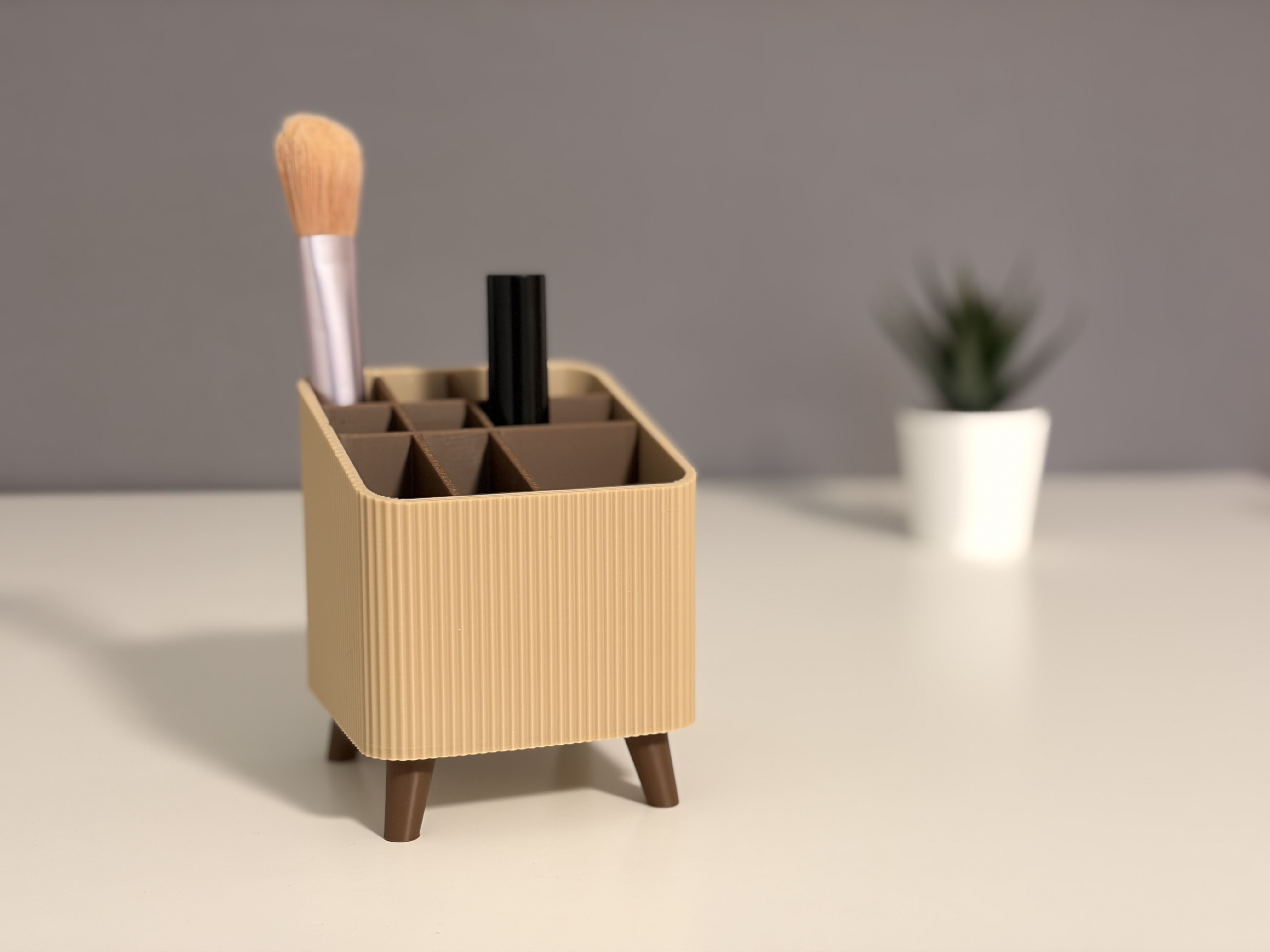 Makeup Organizer 1