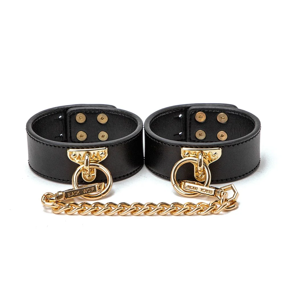 Kit CASE BDSM 8 peças Chicote Mordaça Venda Colar Guia Corda Algemas (Mão Tornozelo e Pescoço)