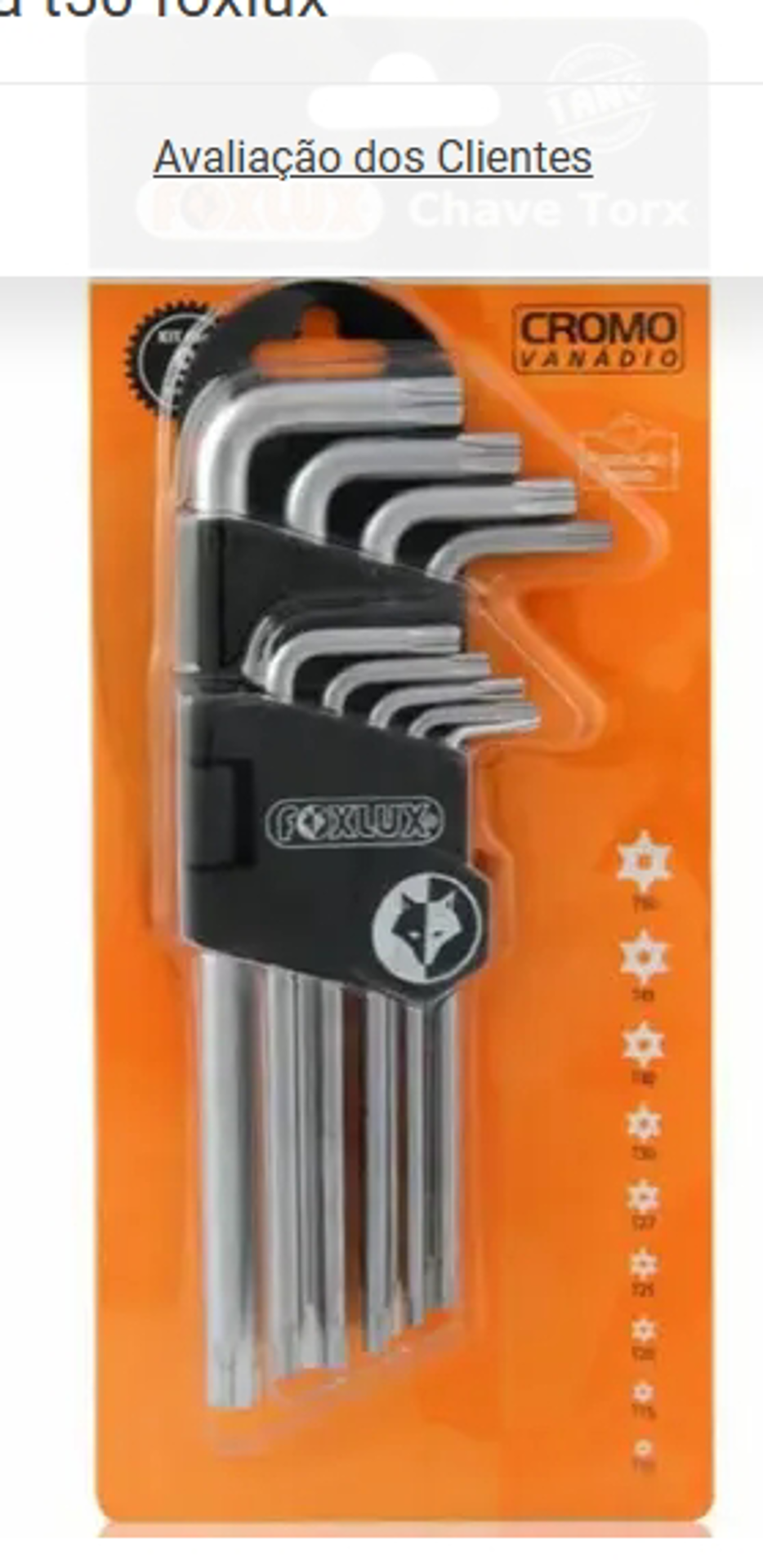 CHAVE TORX FOXLUX/FAMASTIL CRV C/9PCS