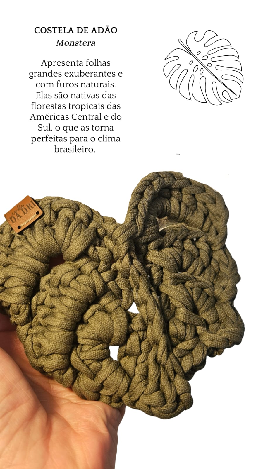 Porta-Copos Folha 