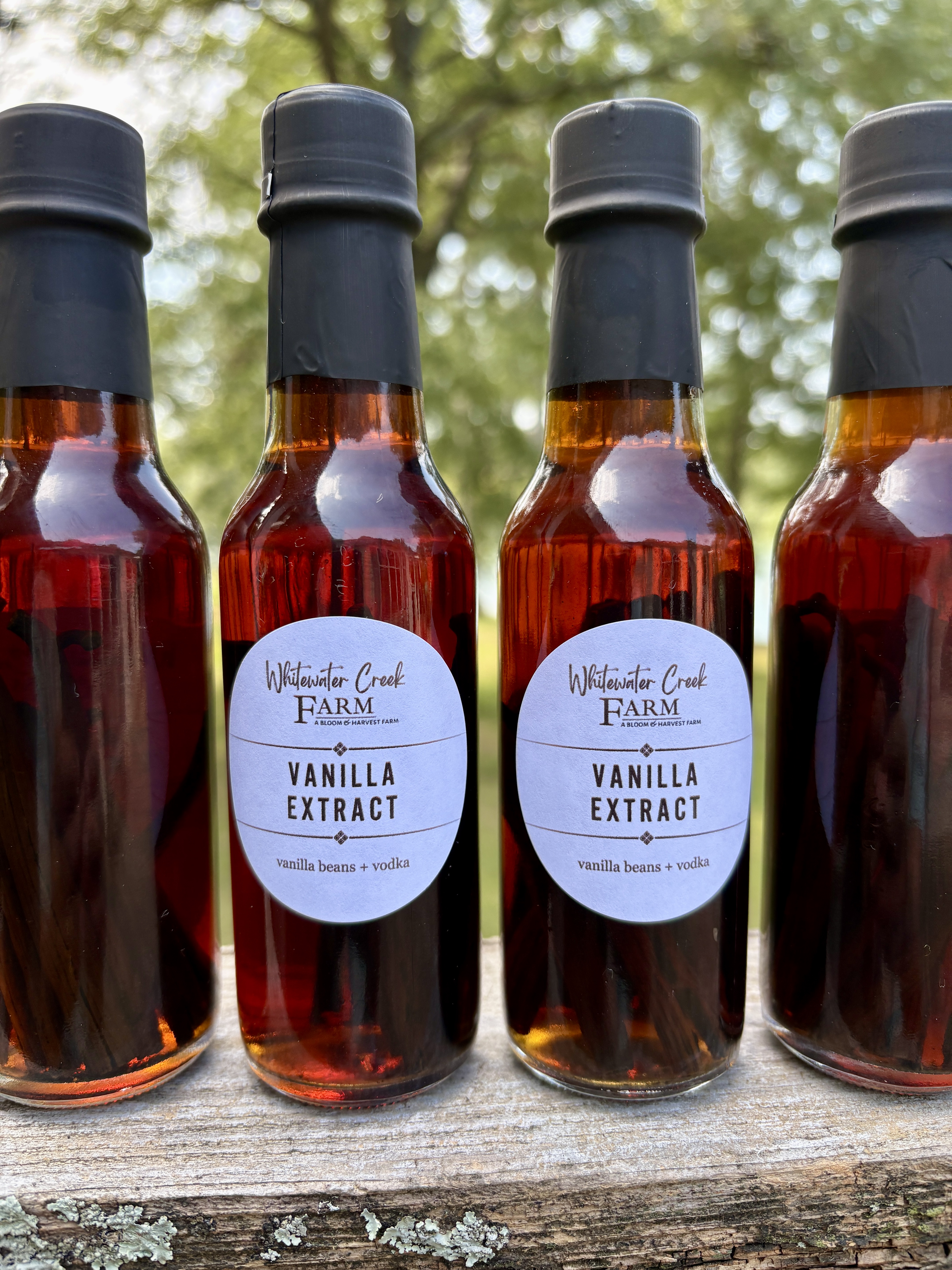 Homemade Vanilla Extract