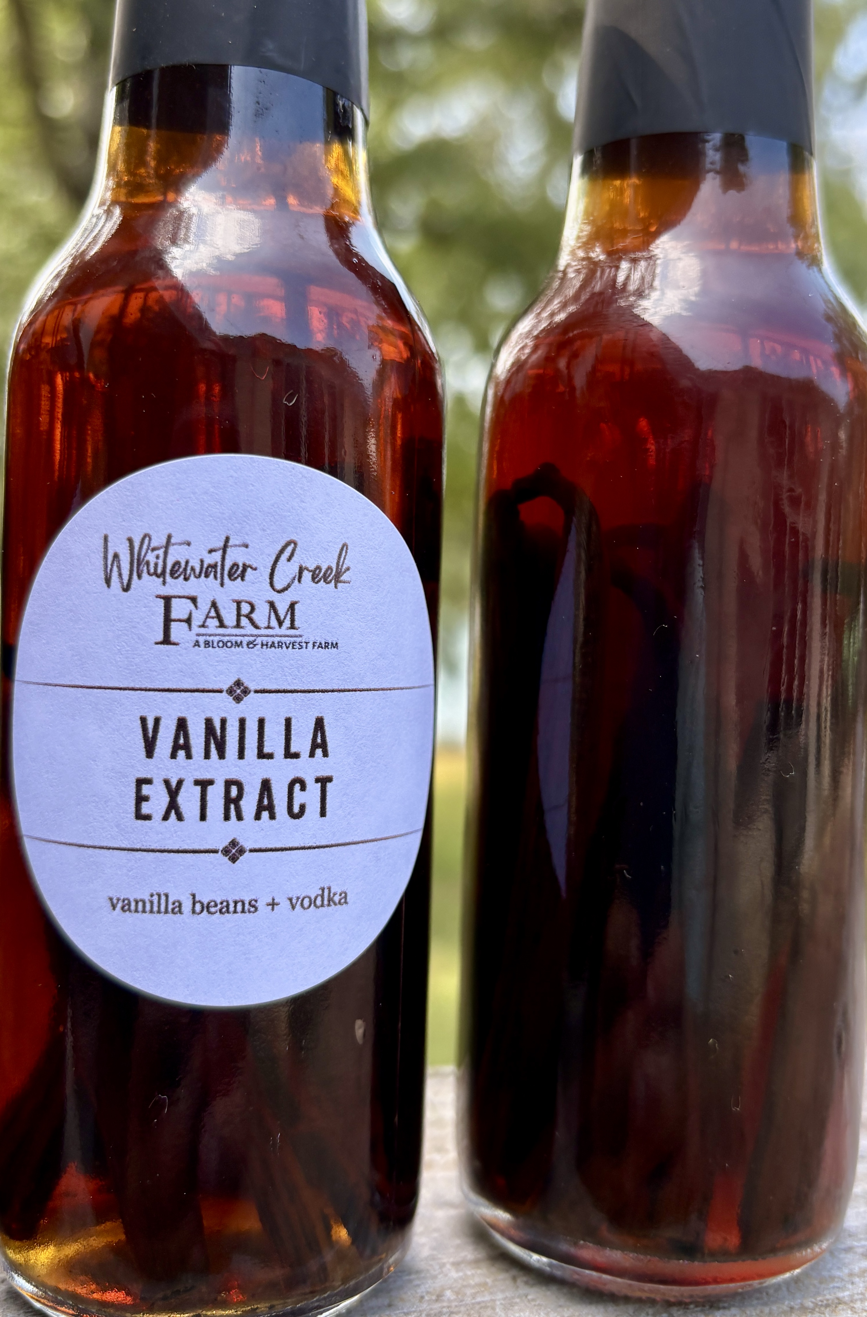 Homemade Vanilla Extract