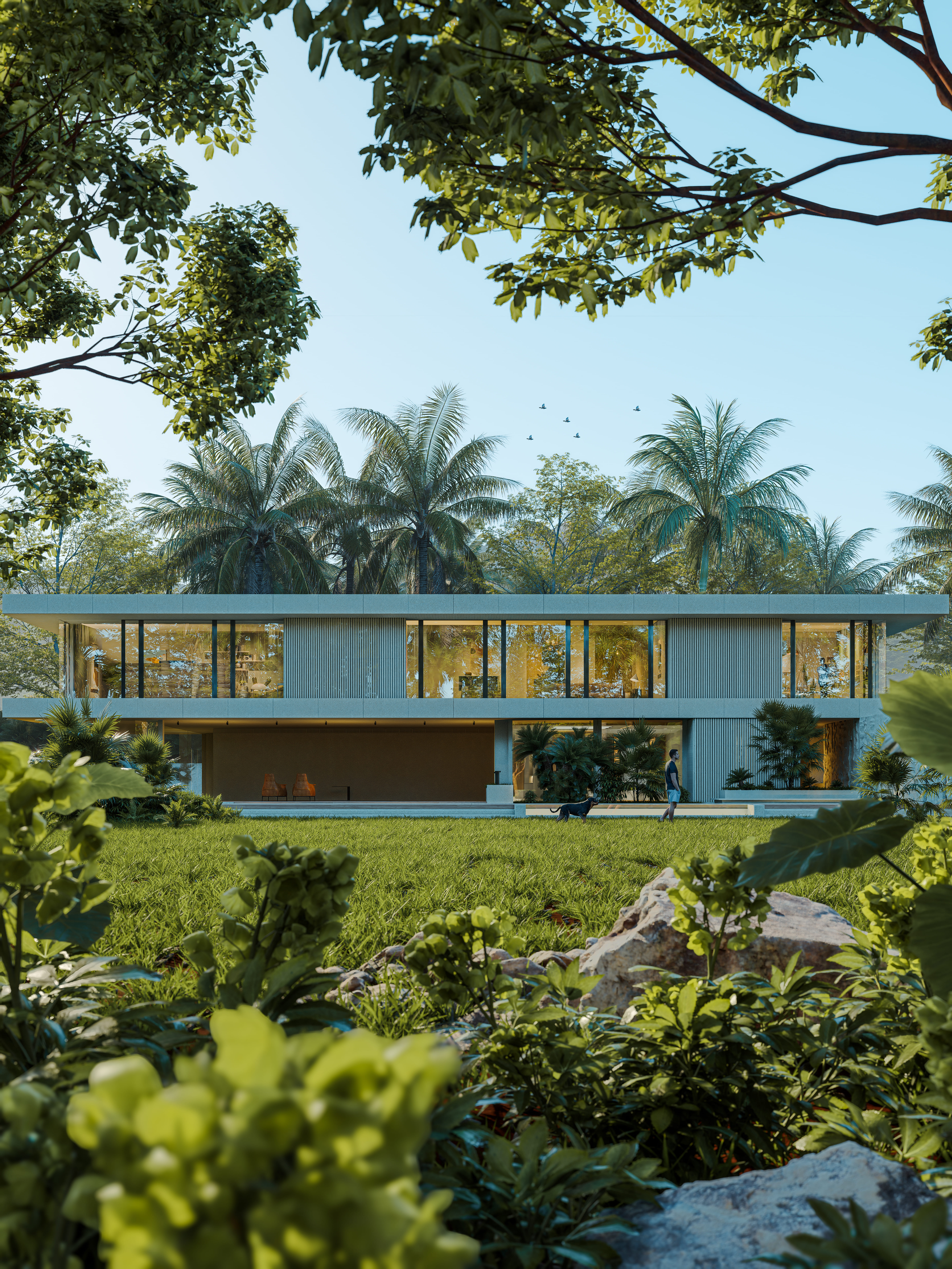 D5 RENDER - Visualización Arquitectónica Profesional