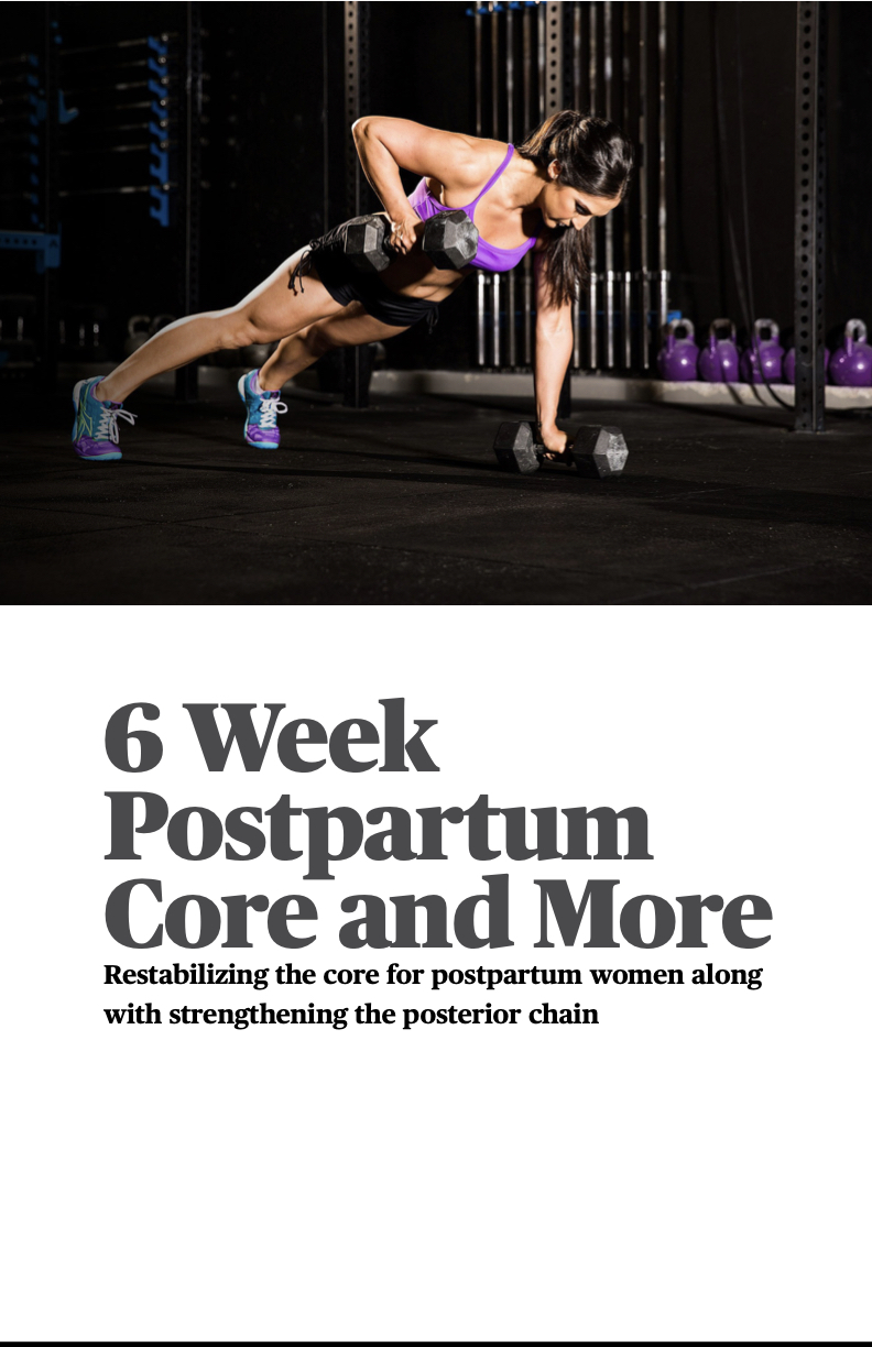 6 Week Postpartum Core and More