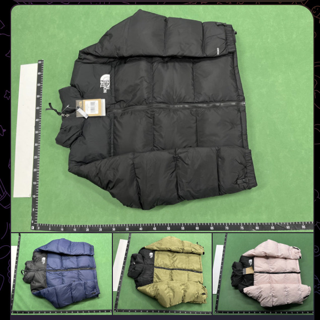 North Face Winter Puffer Jacket