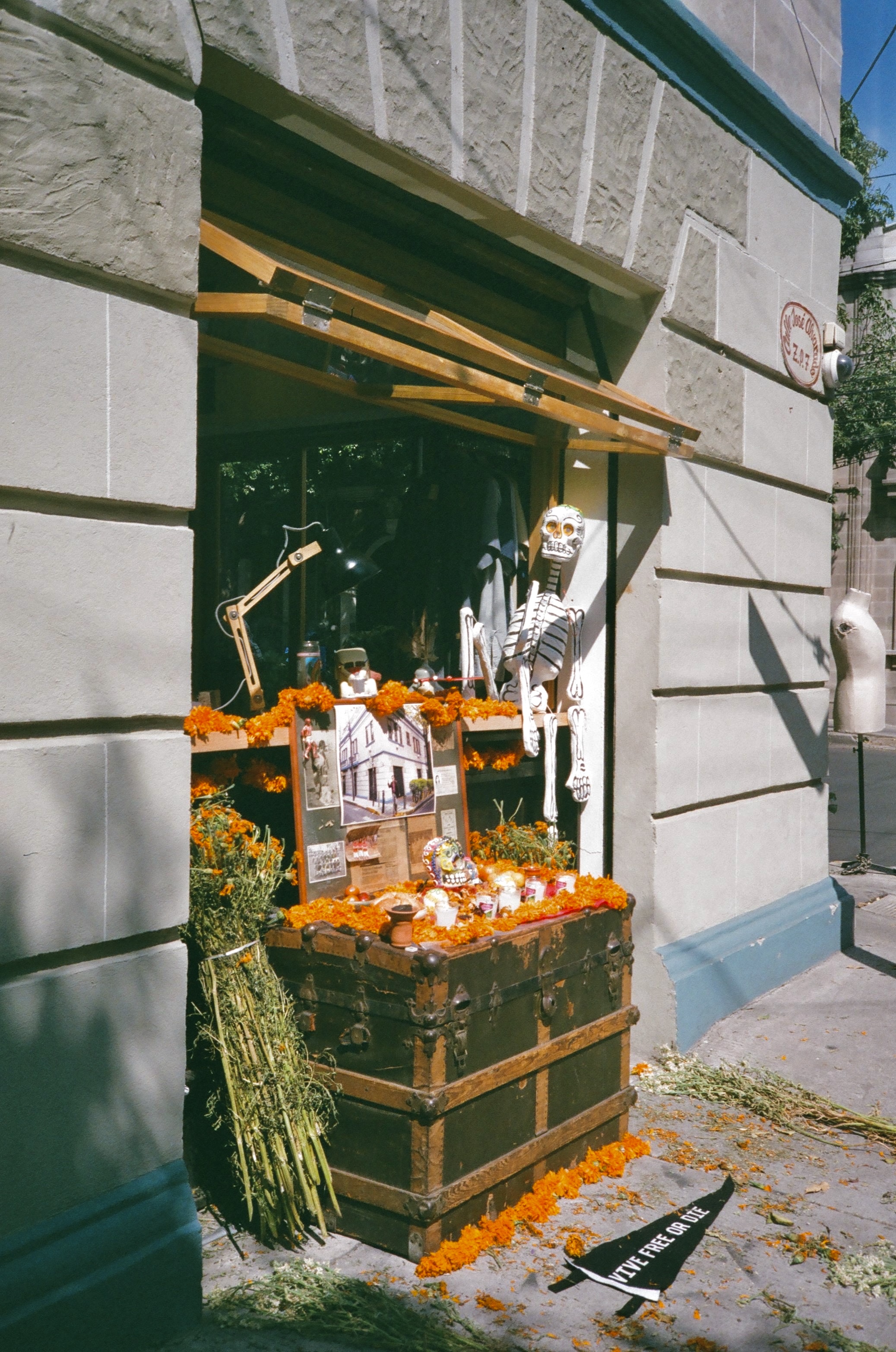 Dia De Los Muertos 