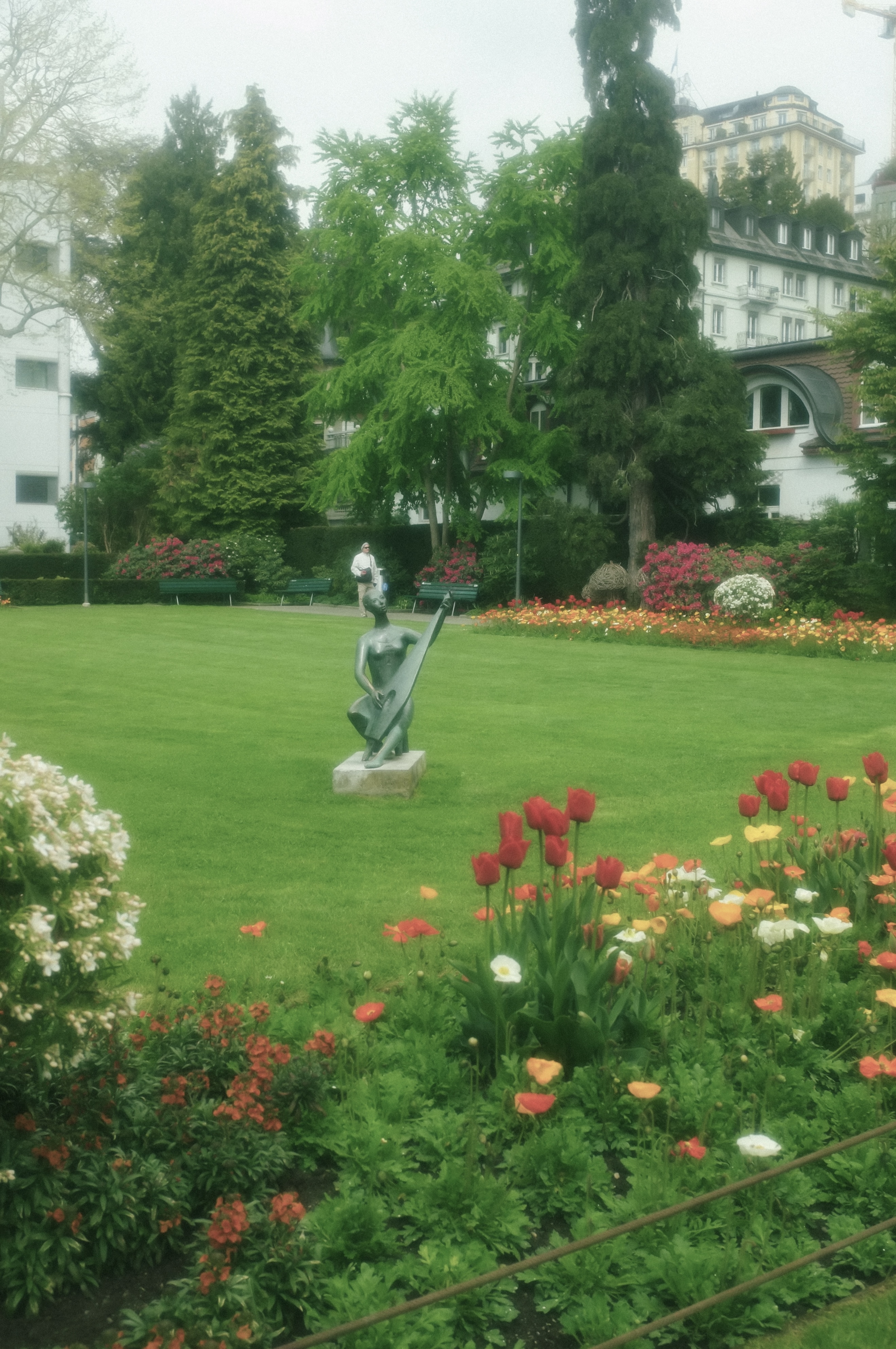 Green Garden with Flowers 