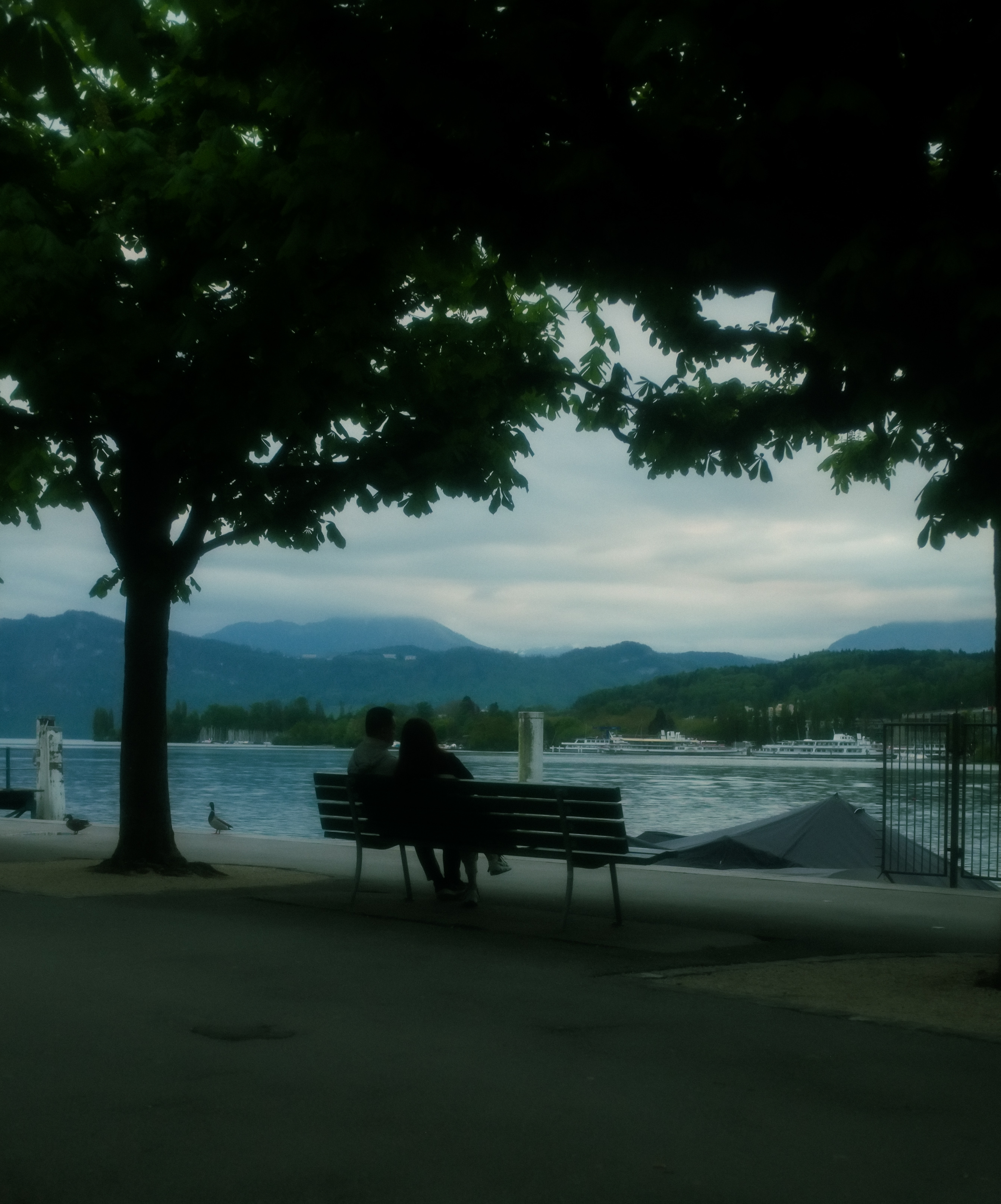 Benched Couple in Lucerne 