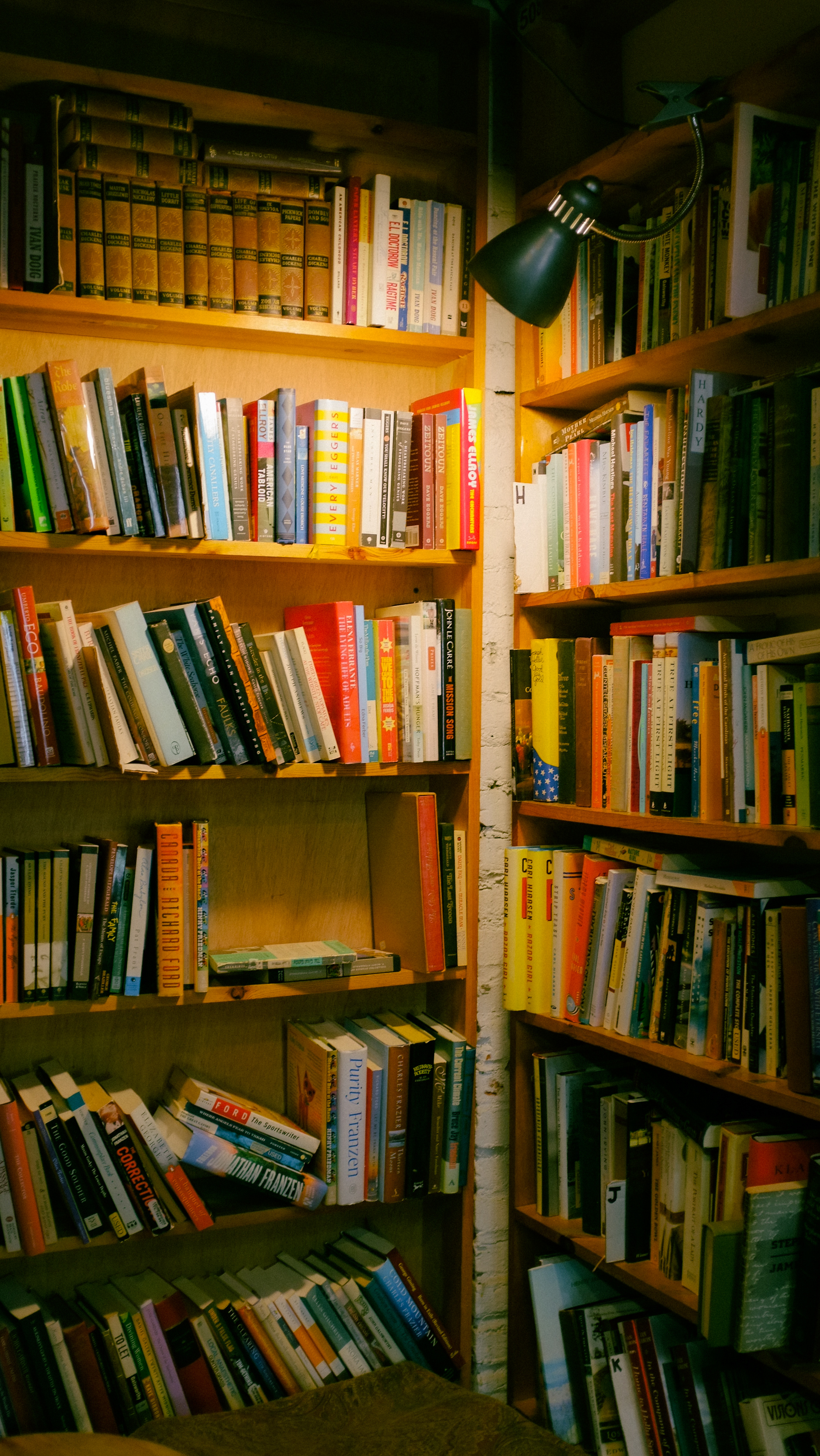 Bookshelf with Books