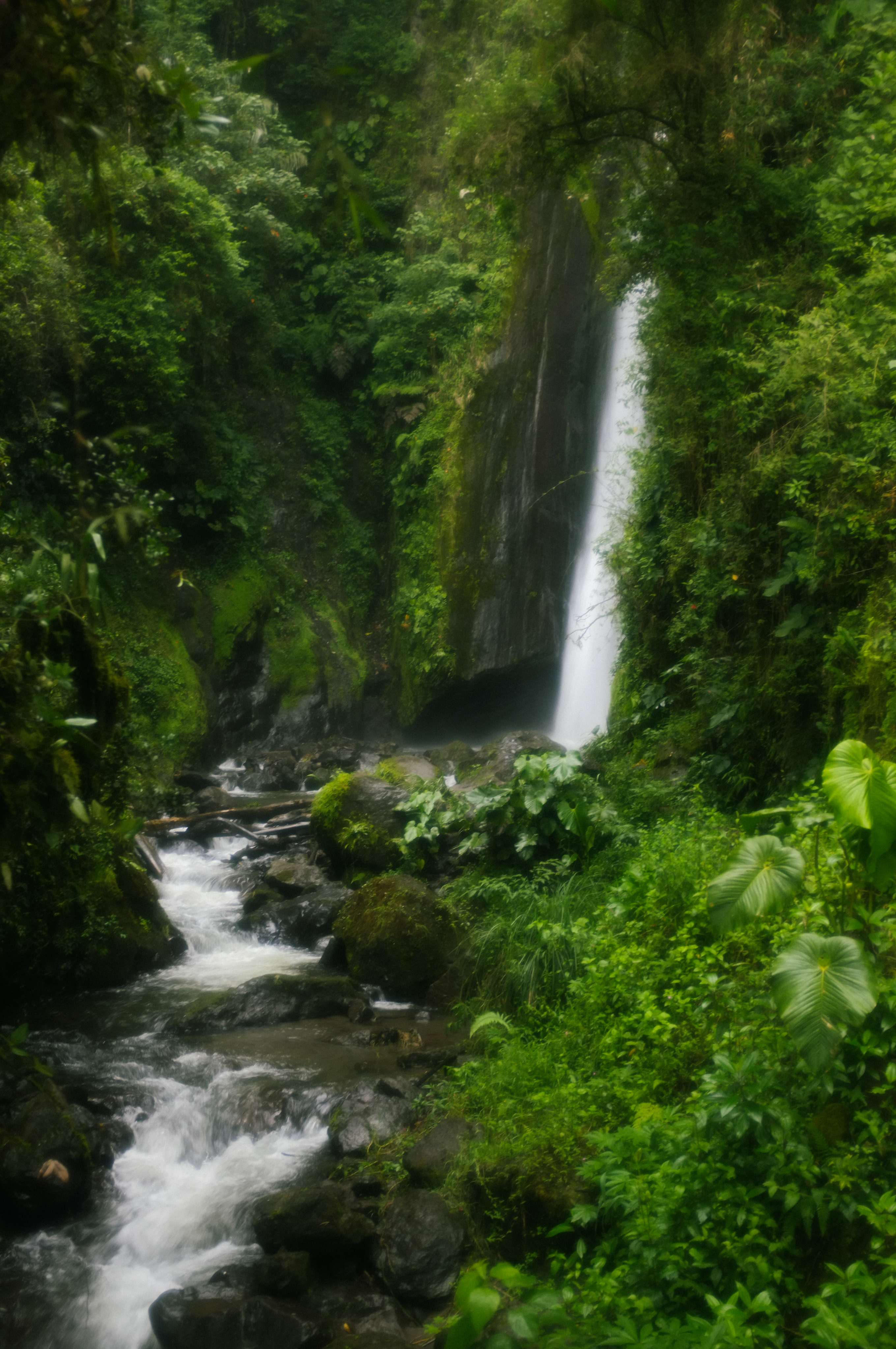 Waterfall Canvas Print